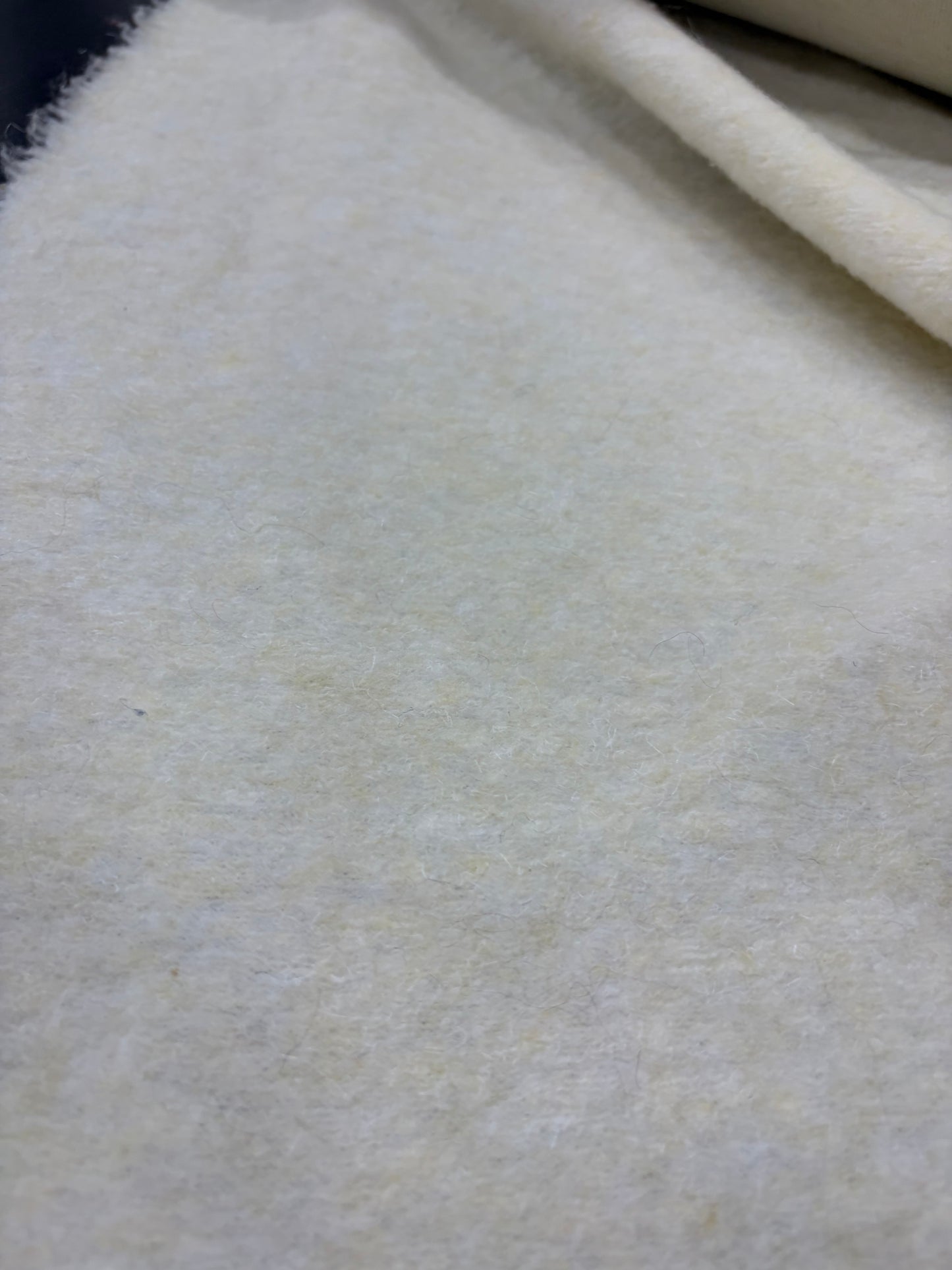 DARIA 025 vanilla boiled wool