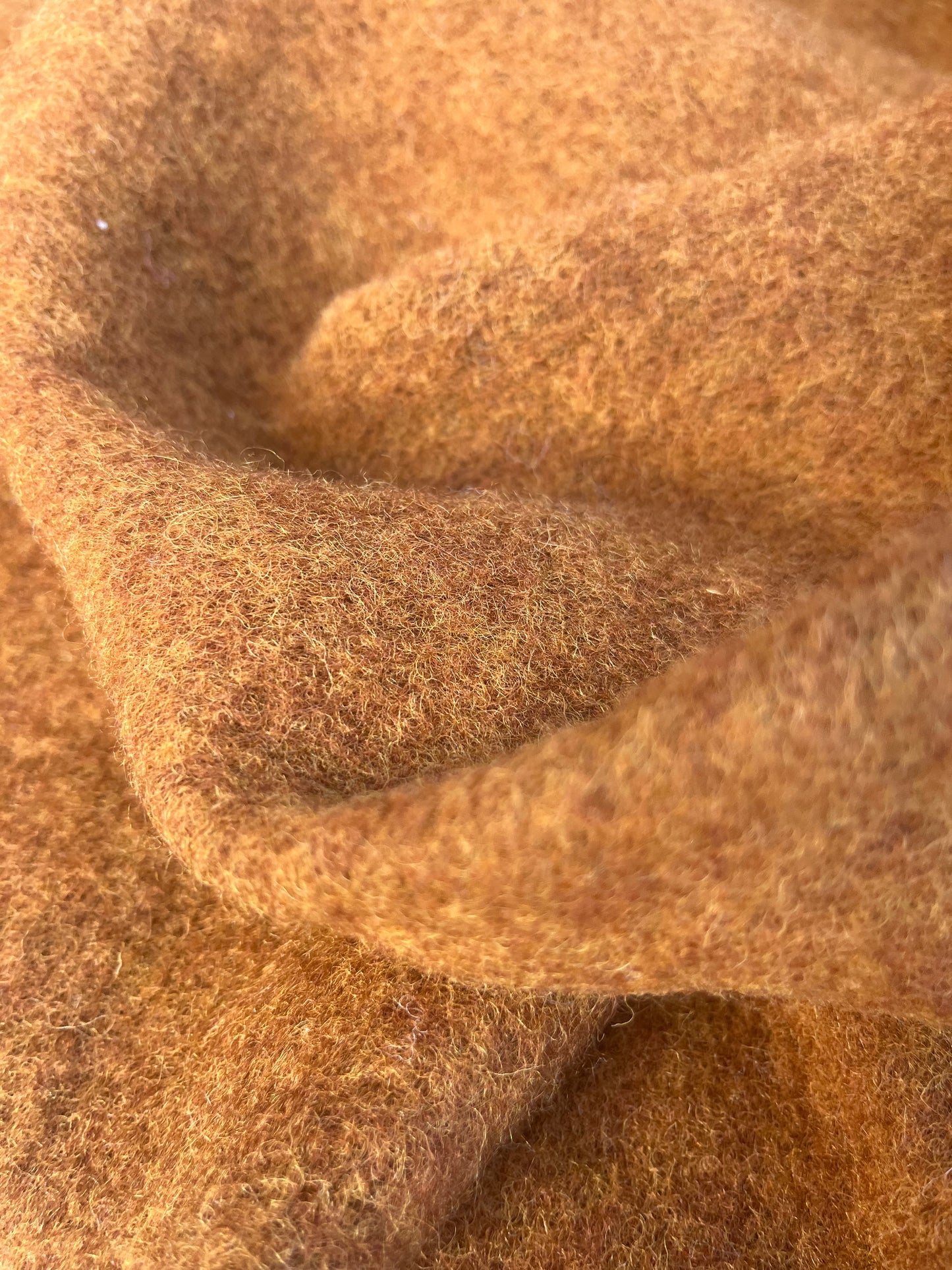 WINDSOR 007 heavy boiled wool cognac