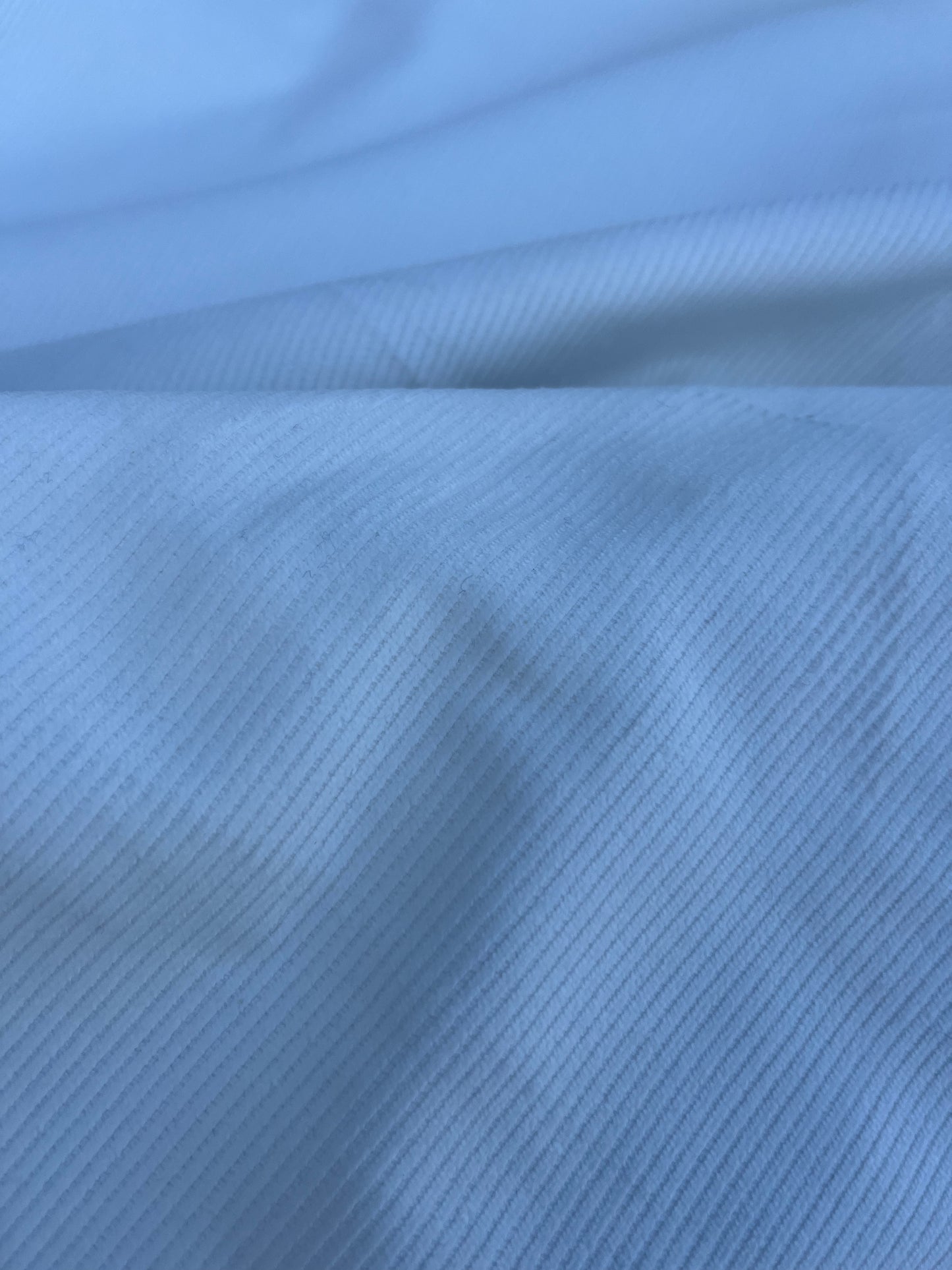 WINDSOR 016 corduroy 100% cotton off white