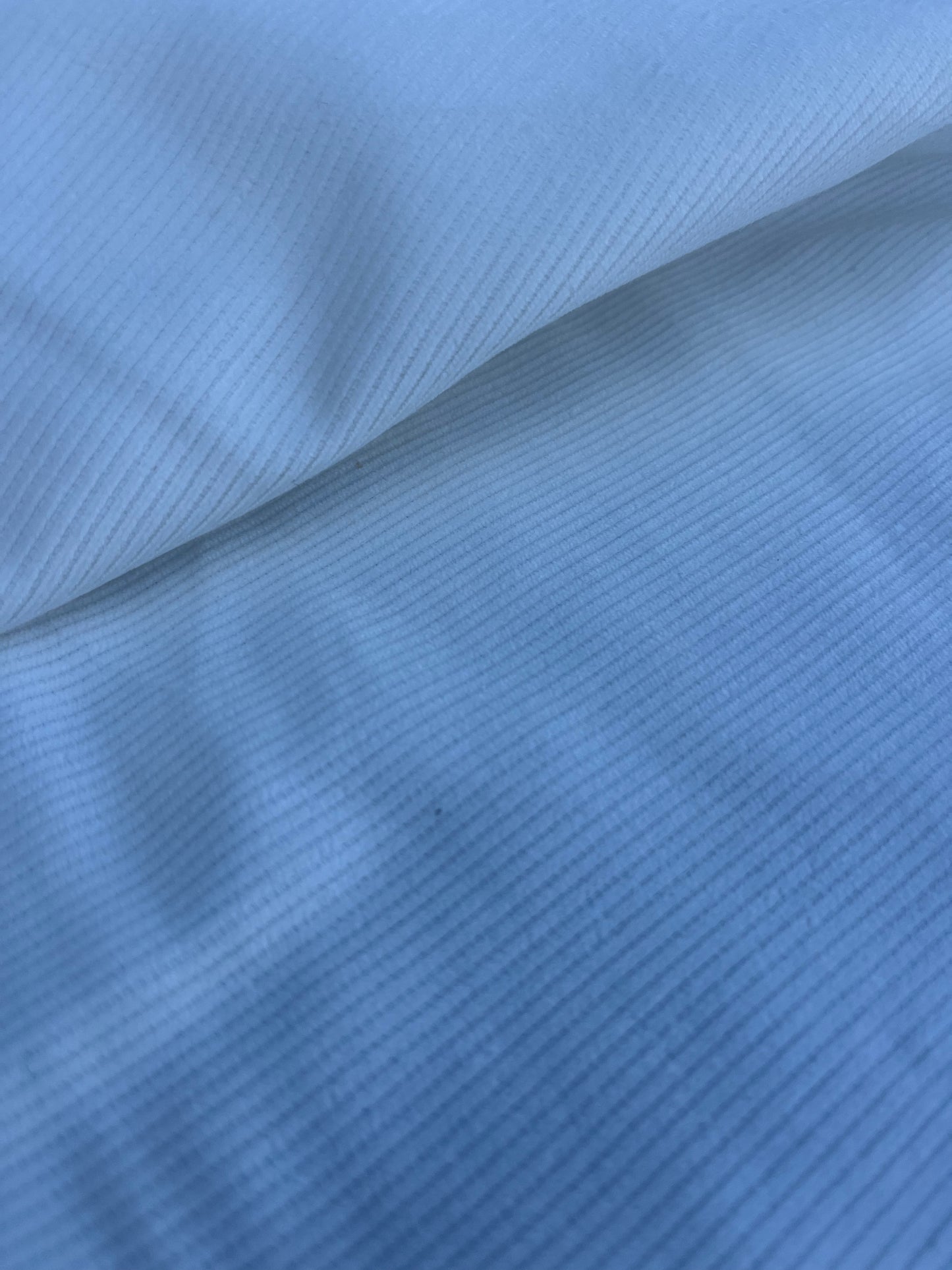 WINDSOR 016 corduroy 100% cotton off white