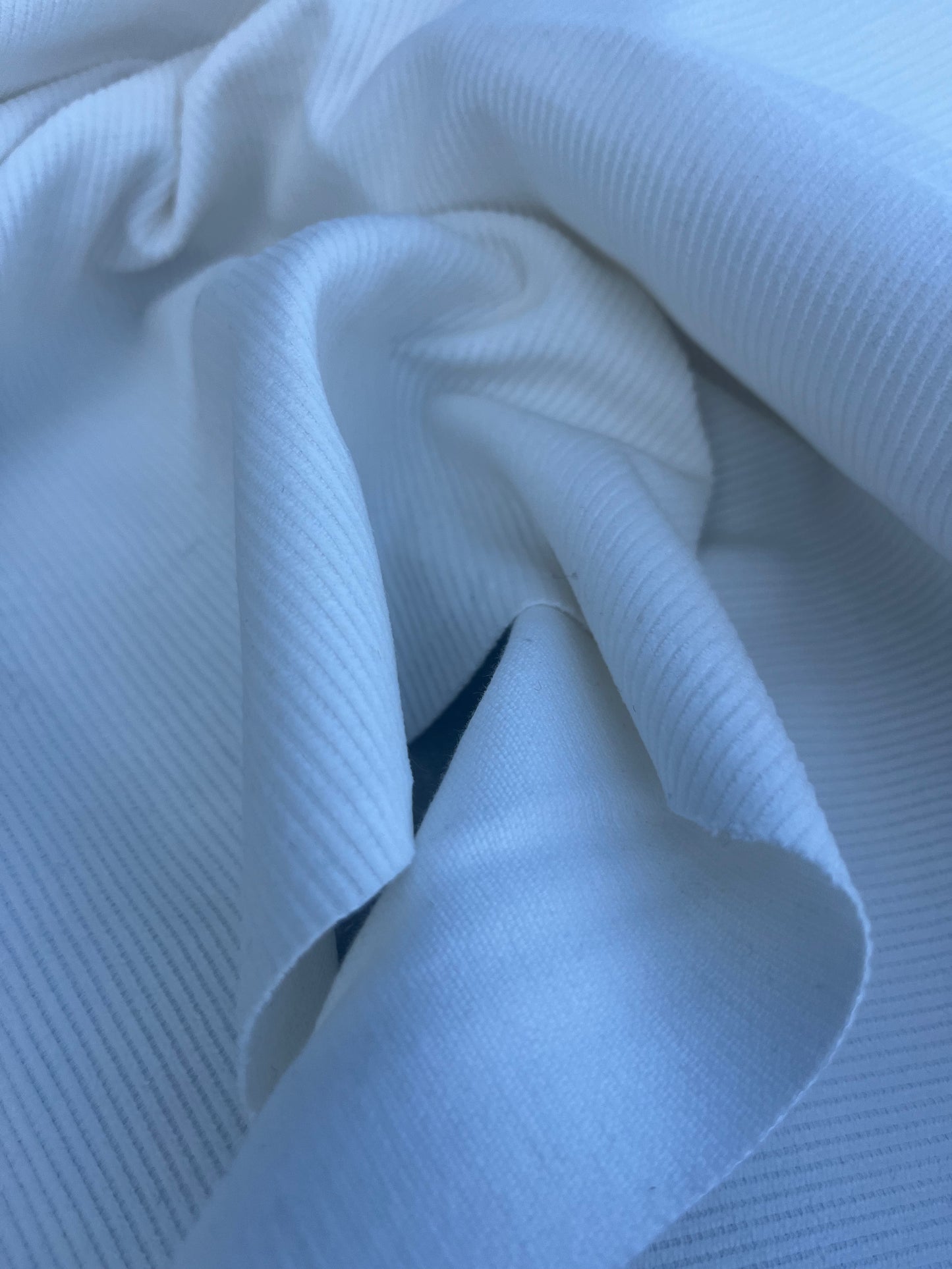 WINDSOR 016 corduroy 100% cotton off white