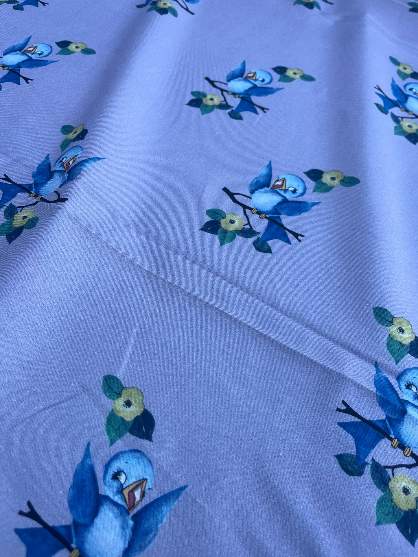 JUSTIN 009 light cotton twill with birds