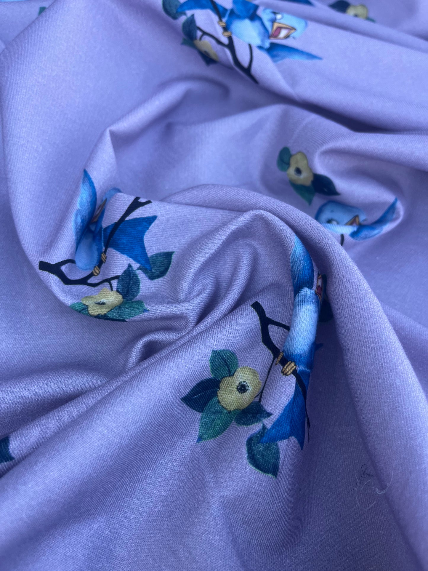 JUSTIN 009 light cotton twill with birds