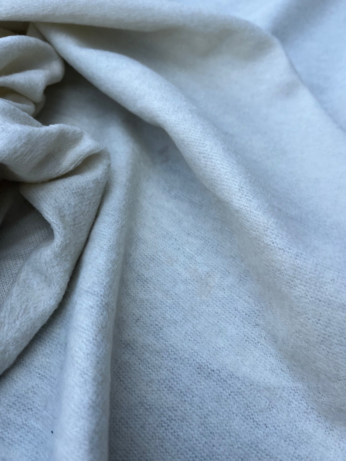 WOOLY 017 Wool jersey ecru