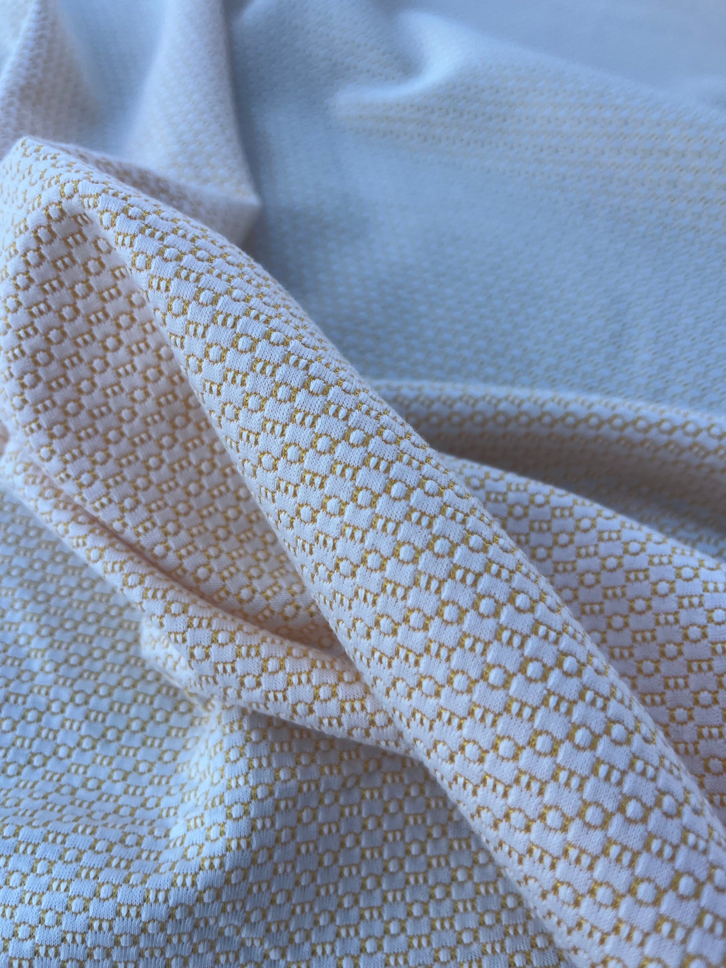 LOUIS 017 jersey jacquard yellow/white