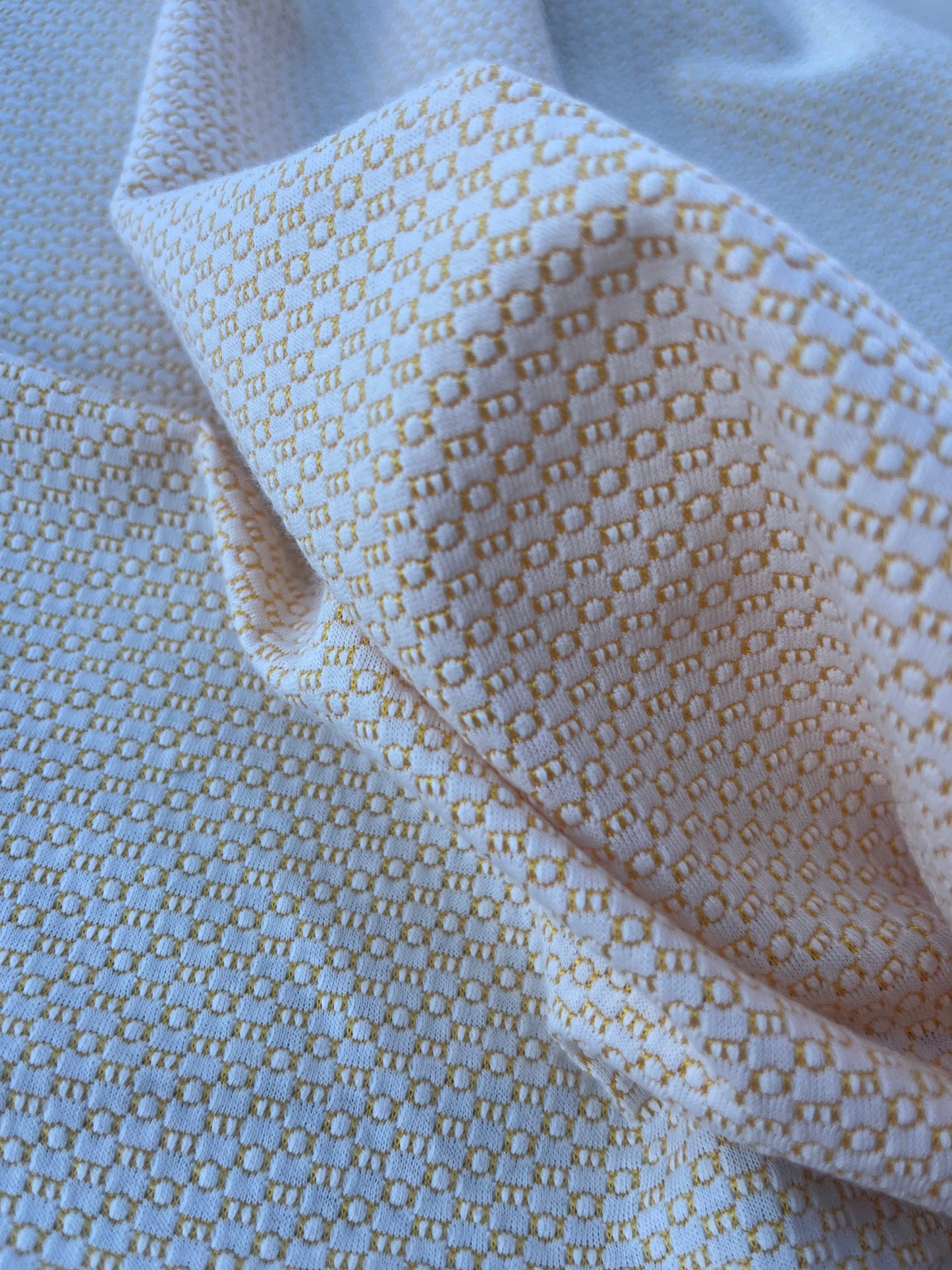 LOUIS 017 jersey jacquard yellow/white