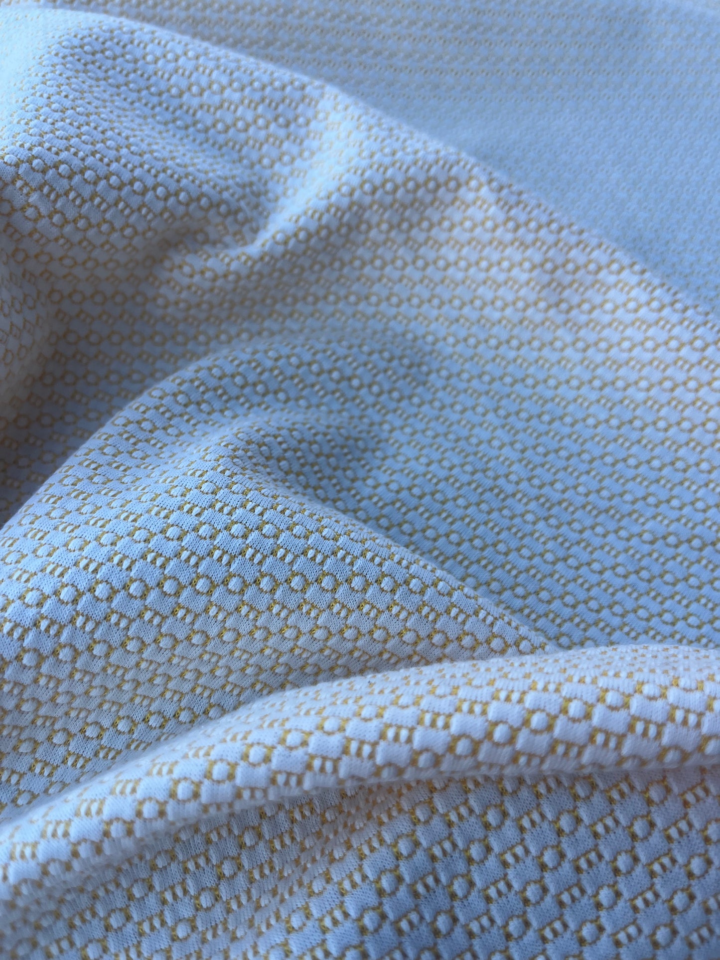 LOUIS 017 jersey jacquard yellow/white
