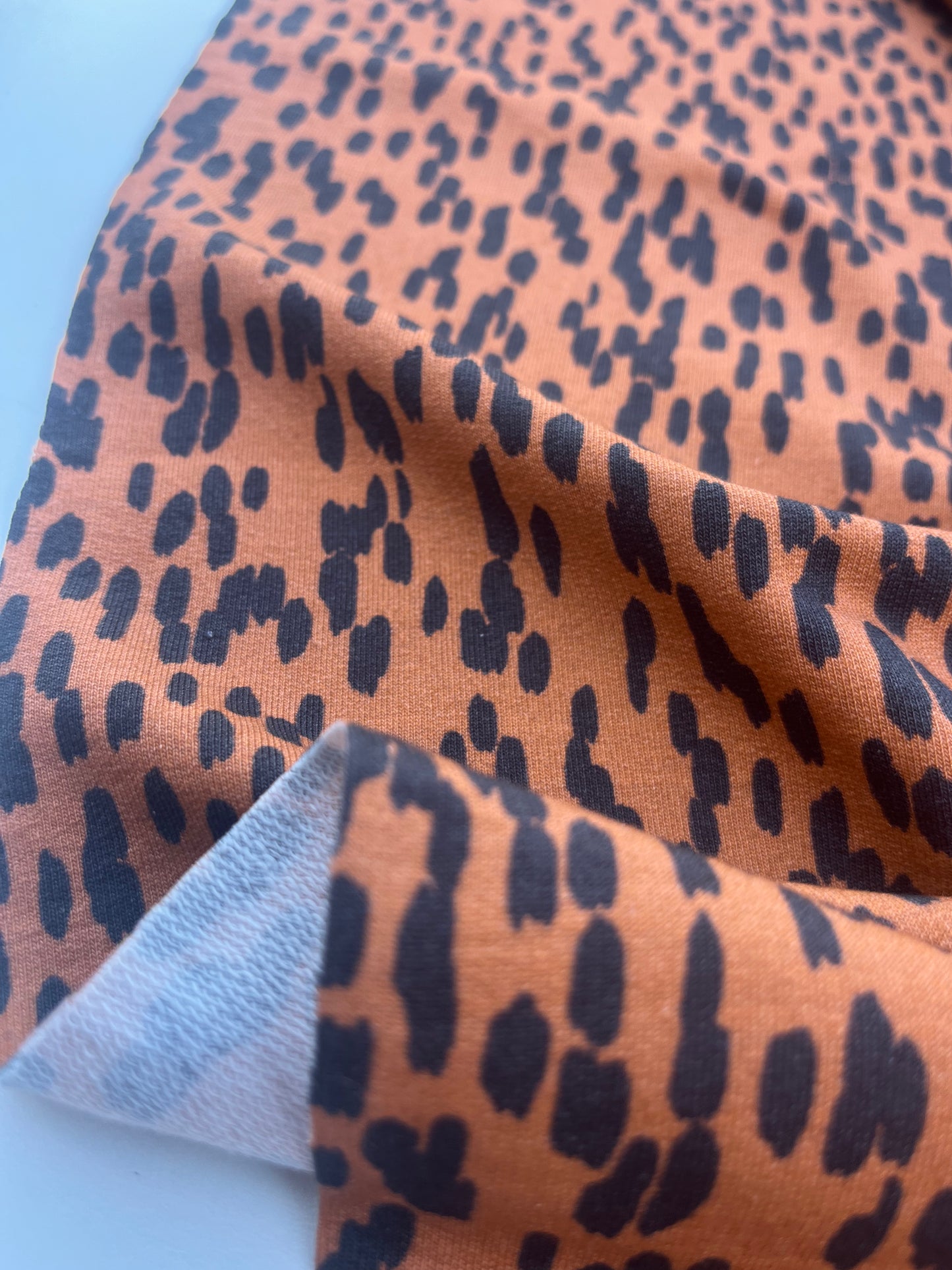 HERA 013 Felpa/jogging with animal print