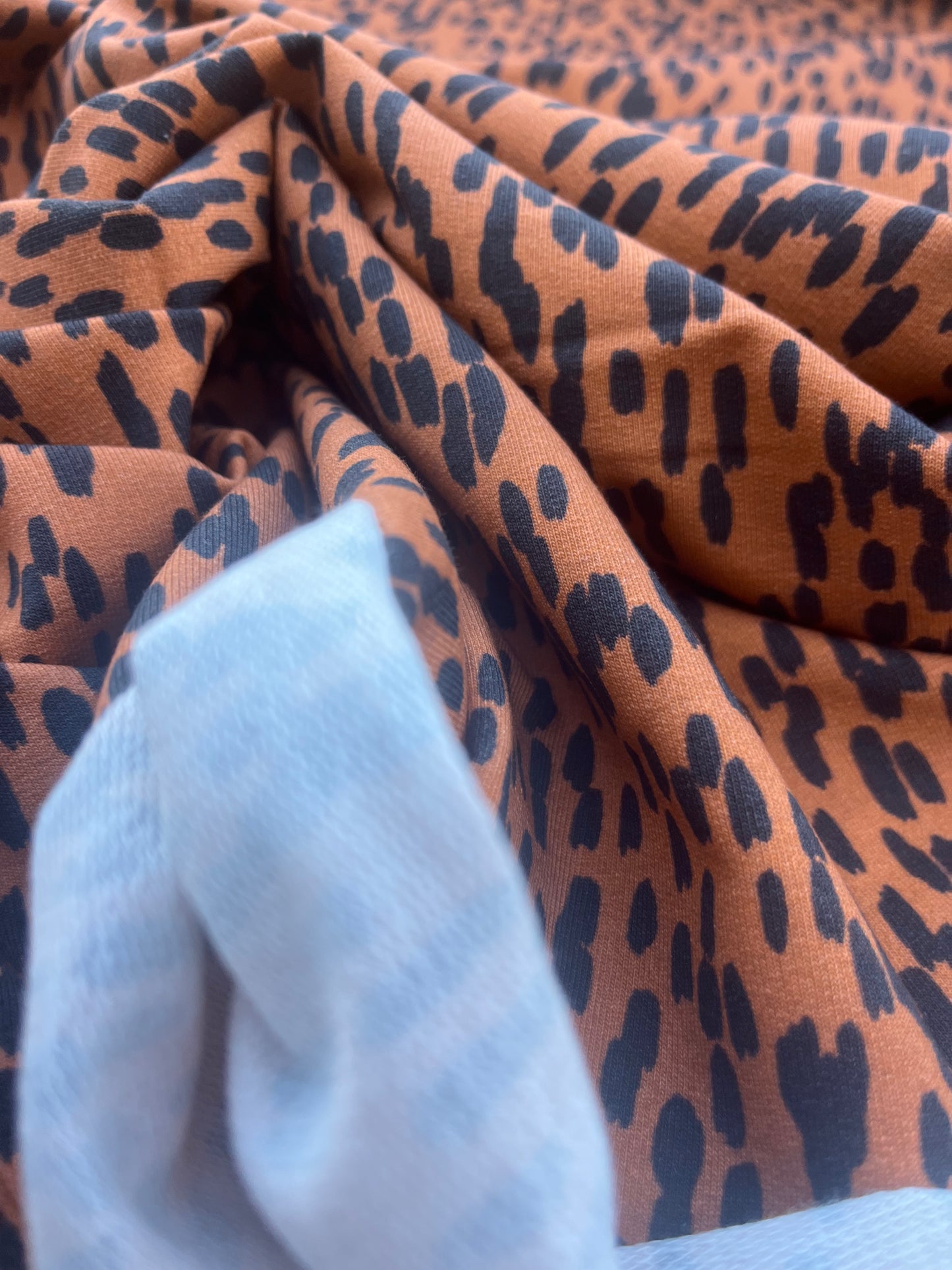 HERA 013 Felpa/jogging with animal print