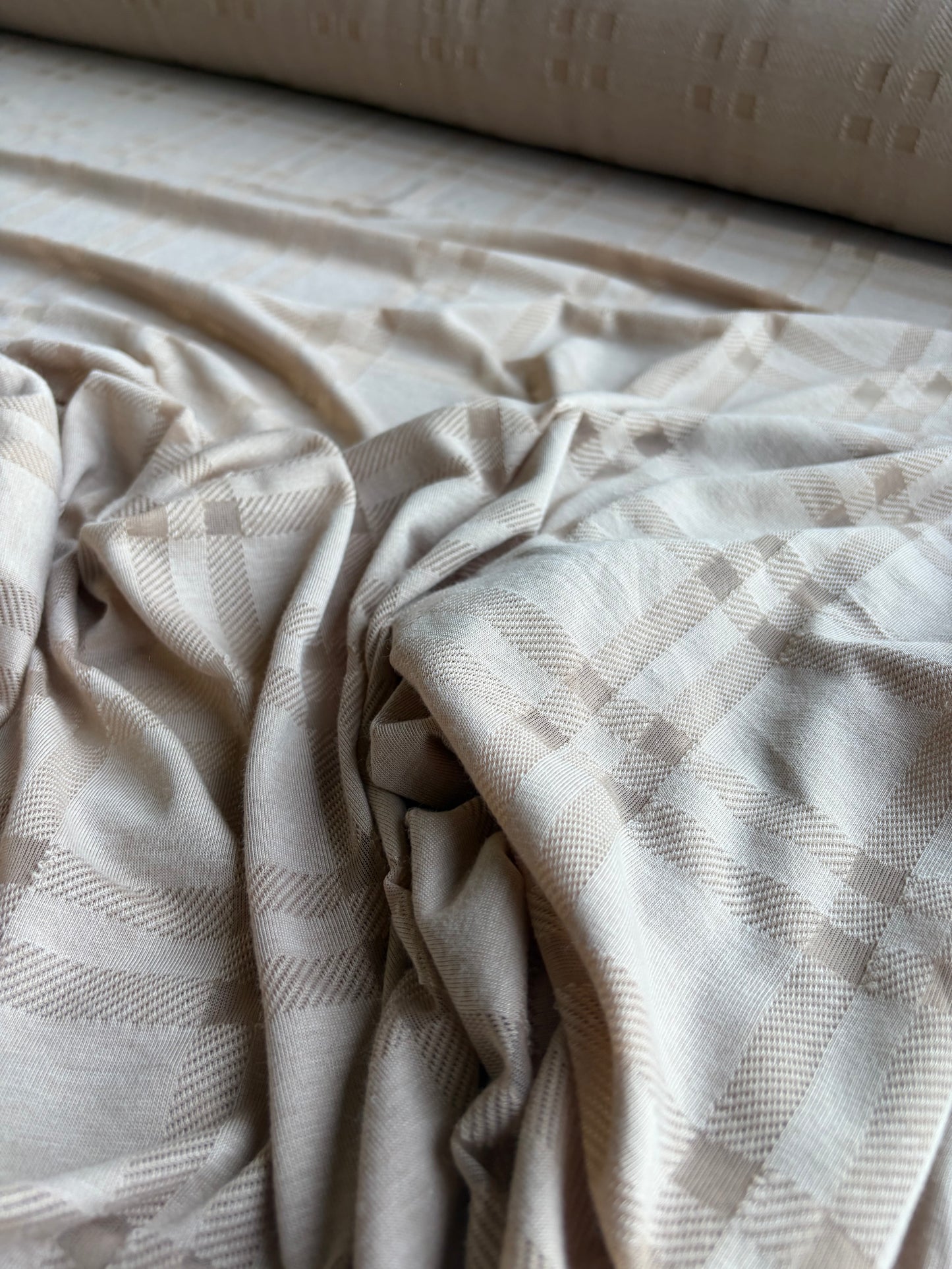 GERMAIN 008 bis cotton jersey fantasy