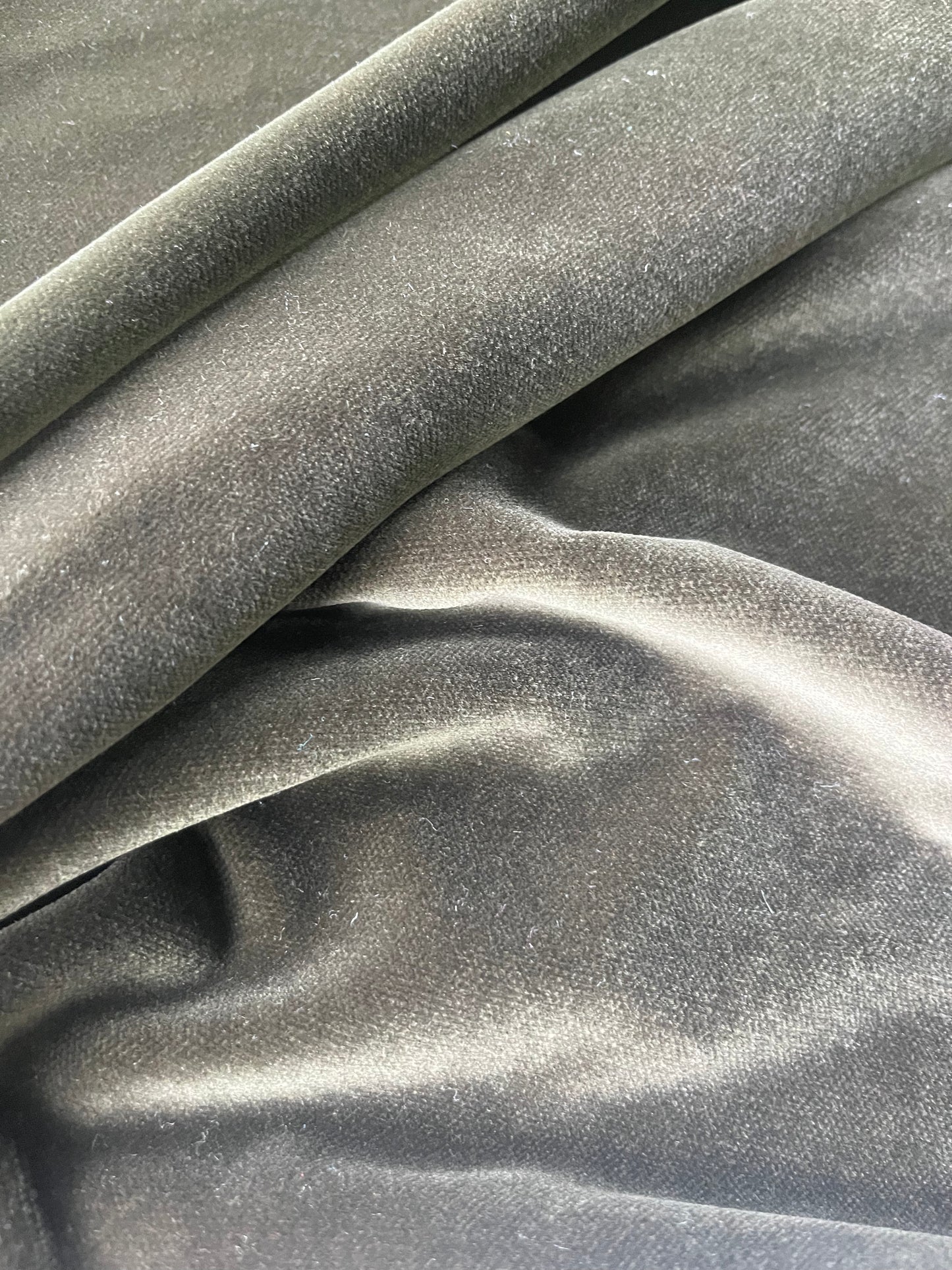 ATILLA 036 cotton velvet khaky