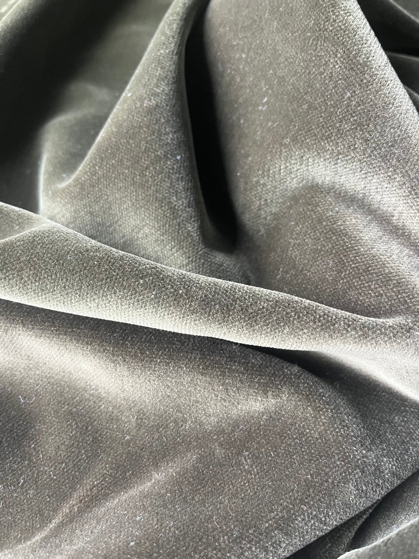 ATILLA 036 cotton velvet khaky