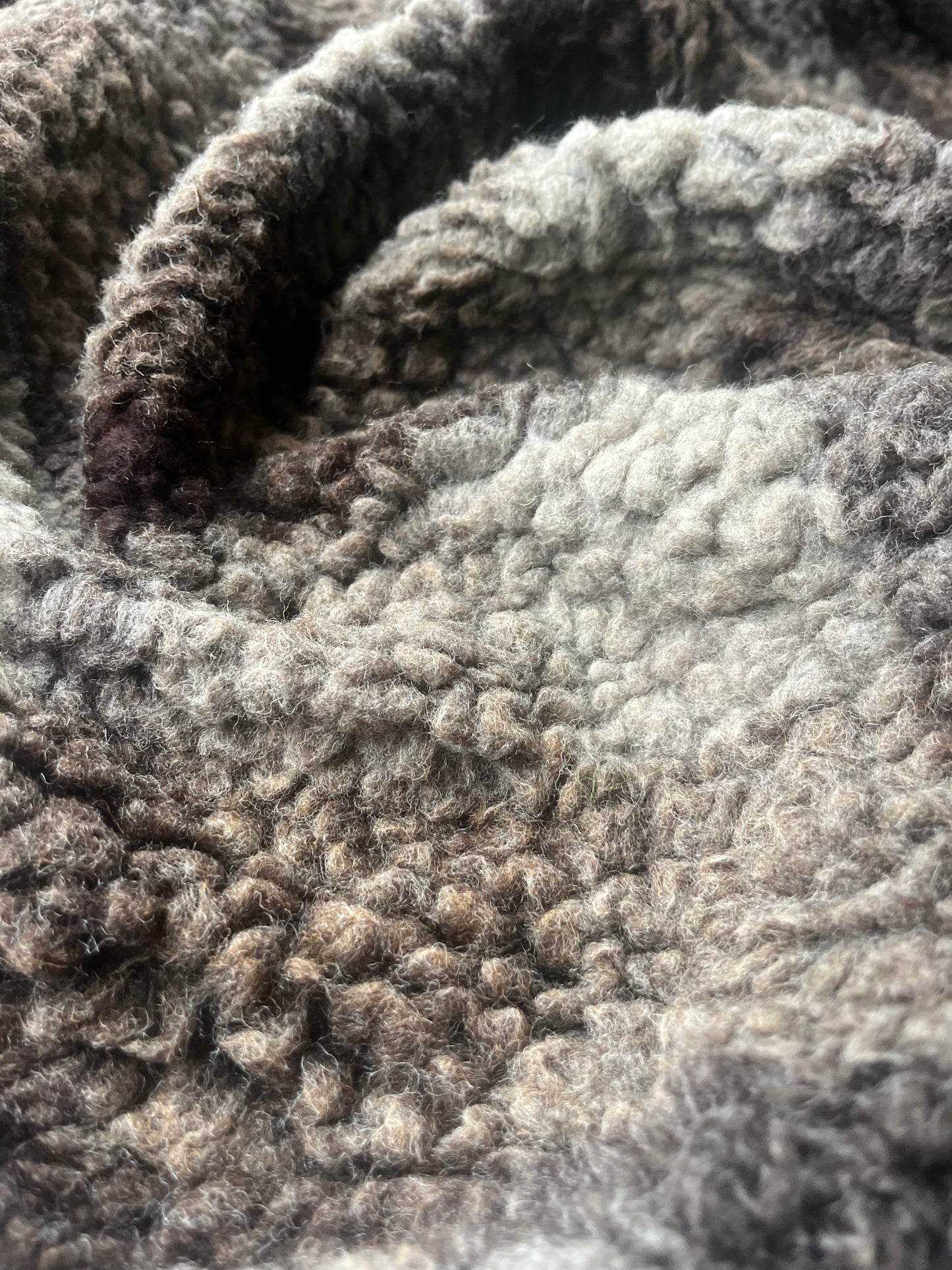 POLO 022 heavy wool bouclette check