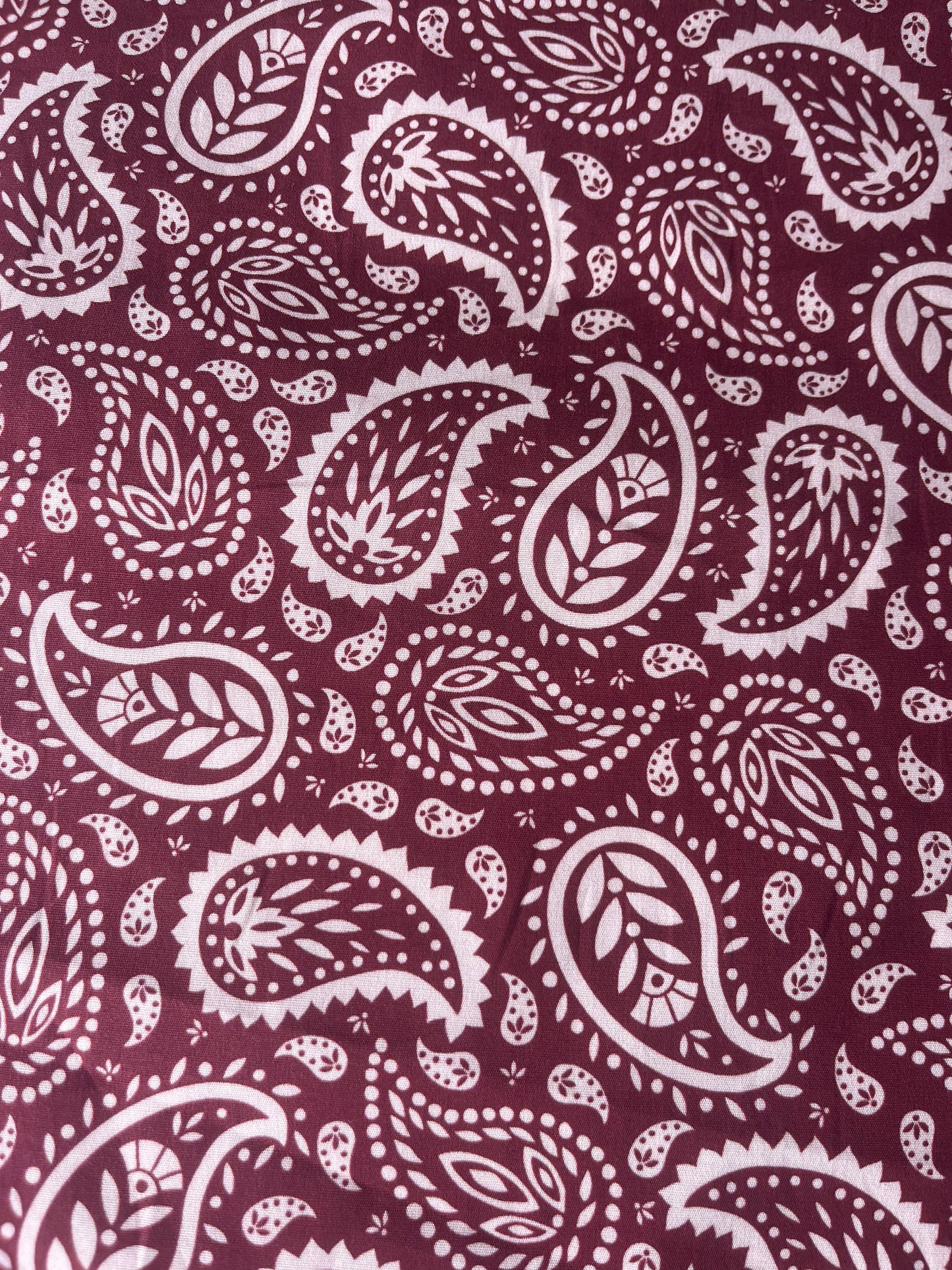 POLO 037 poplin stretch paisley digital print