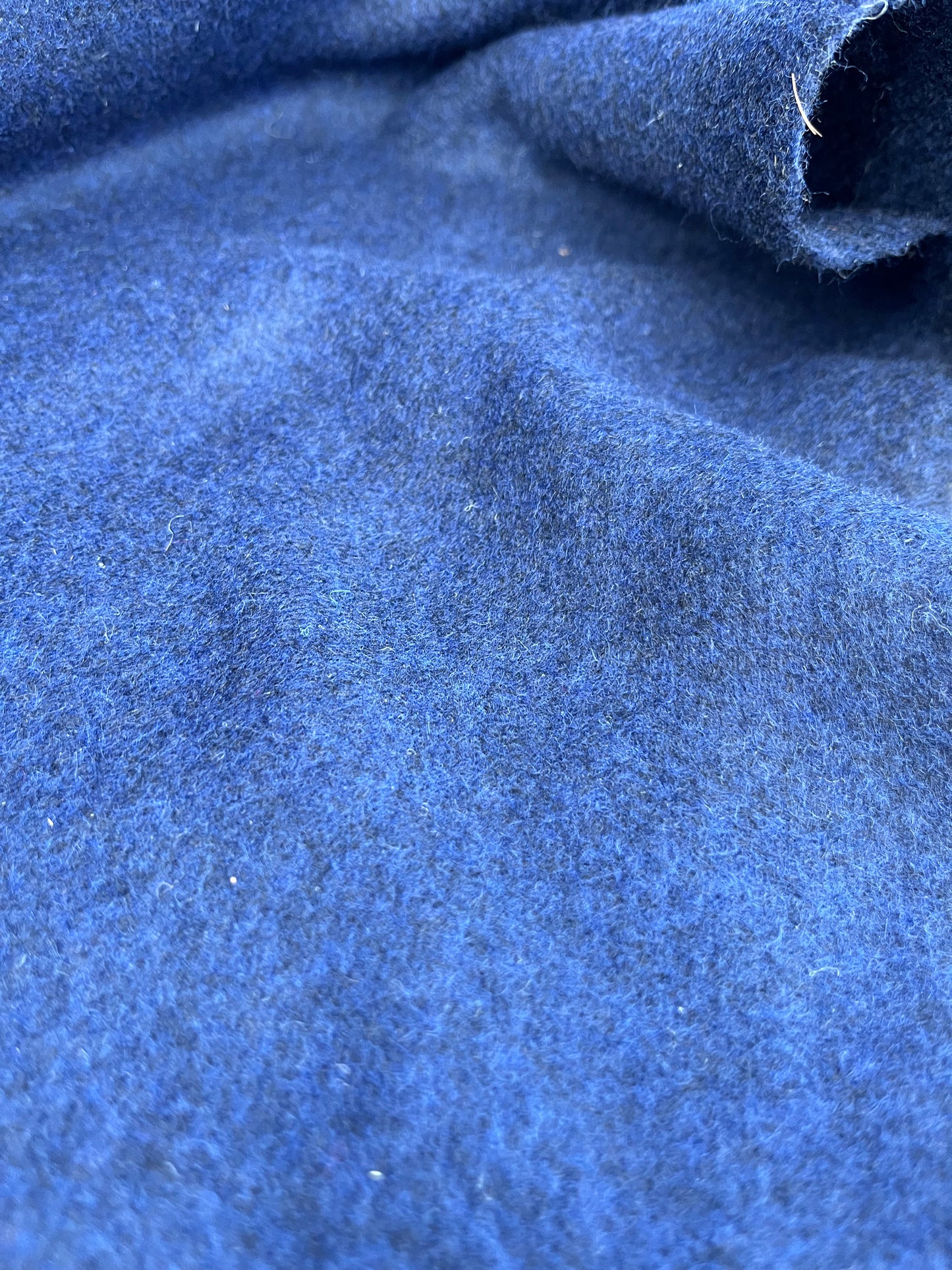 ROMA 008 heavy boiled wool navy