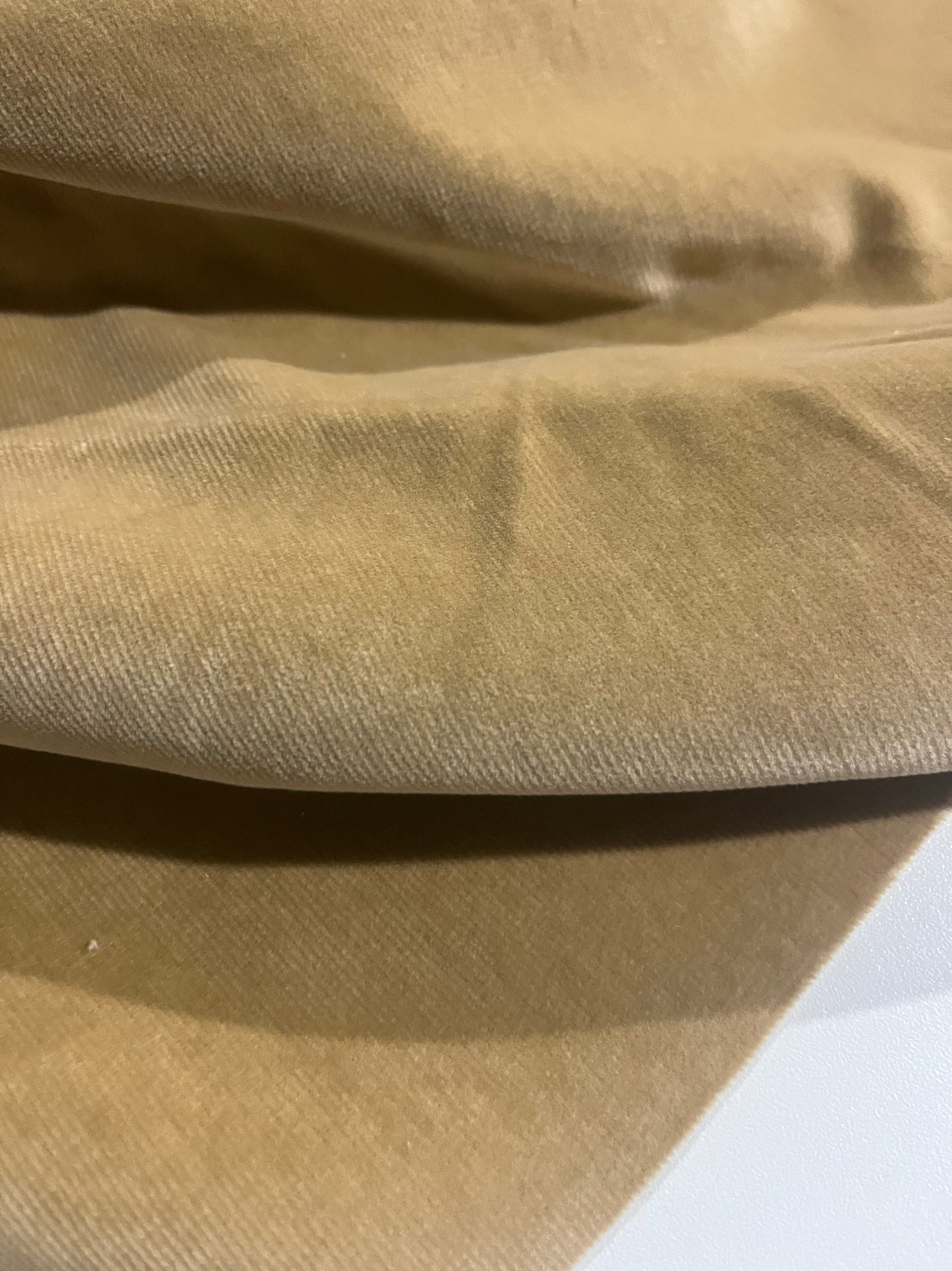 GASPARD 016 cotton velvet babycord stretch camel