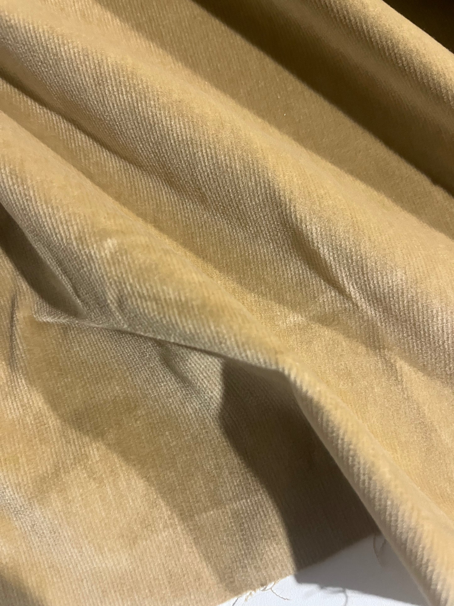 GASPARD 016 cotton velvet babycord stretch camel