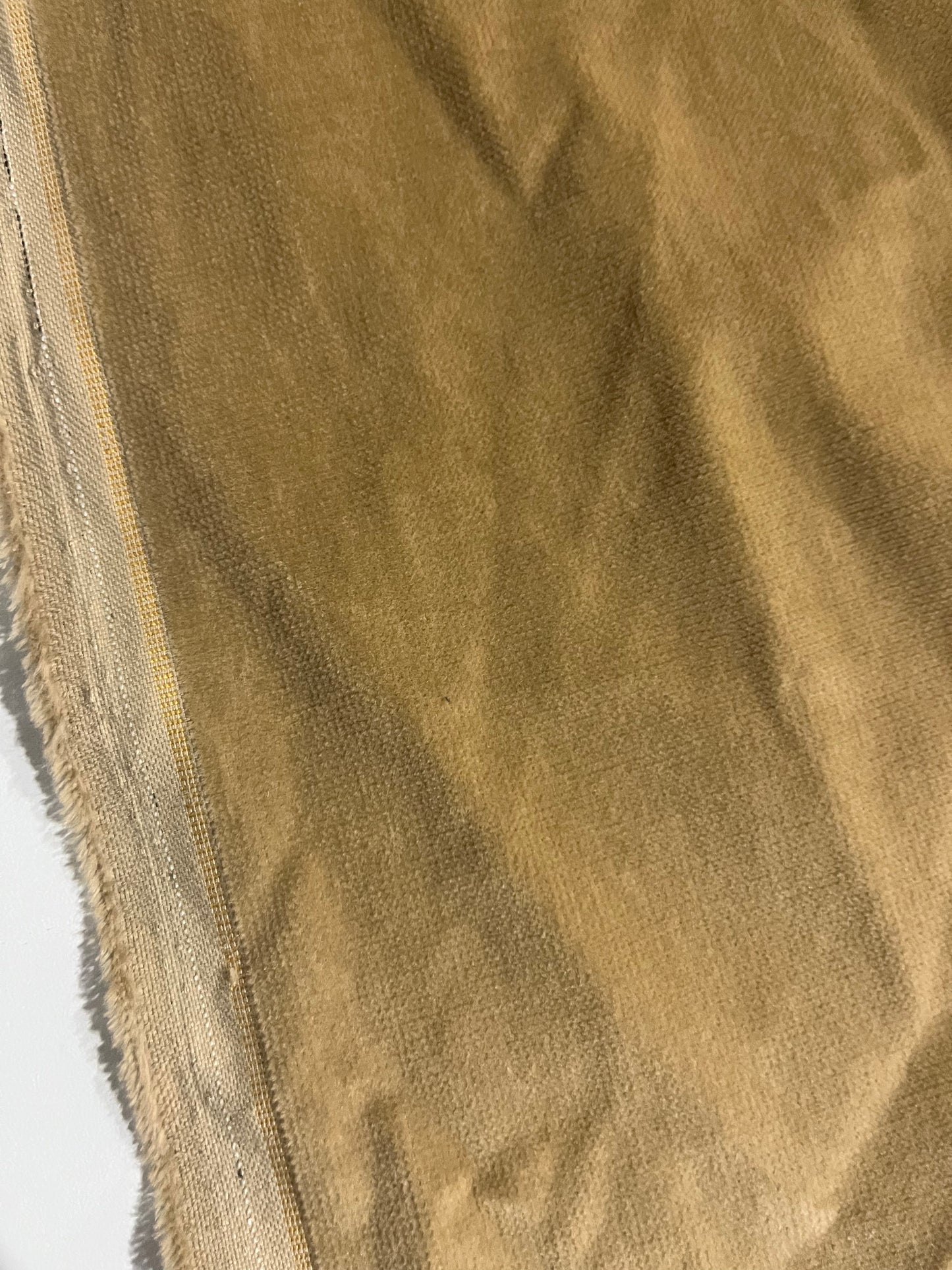 GASPARD 016 cotton velvet babycord stretch camel