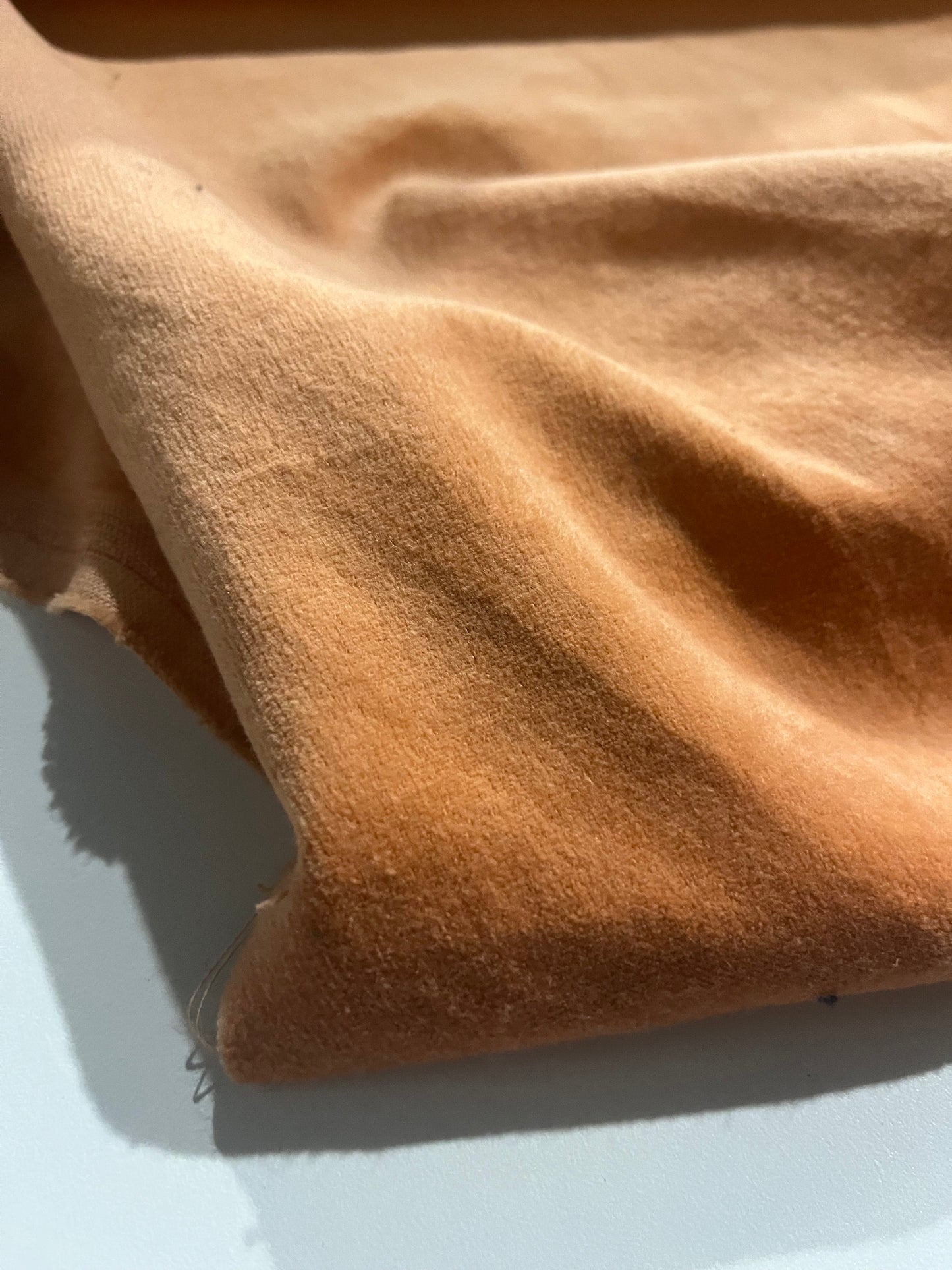 GASPARD 018 cotton velvet babycord salmon