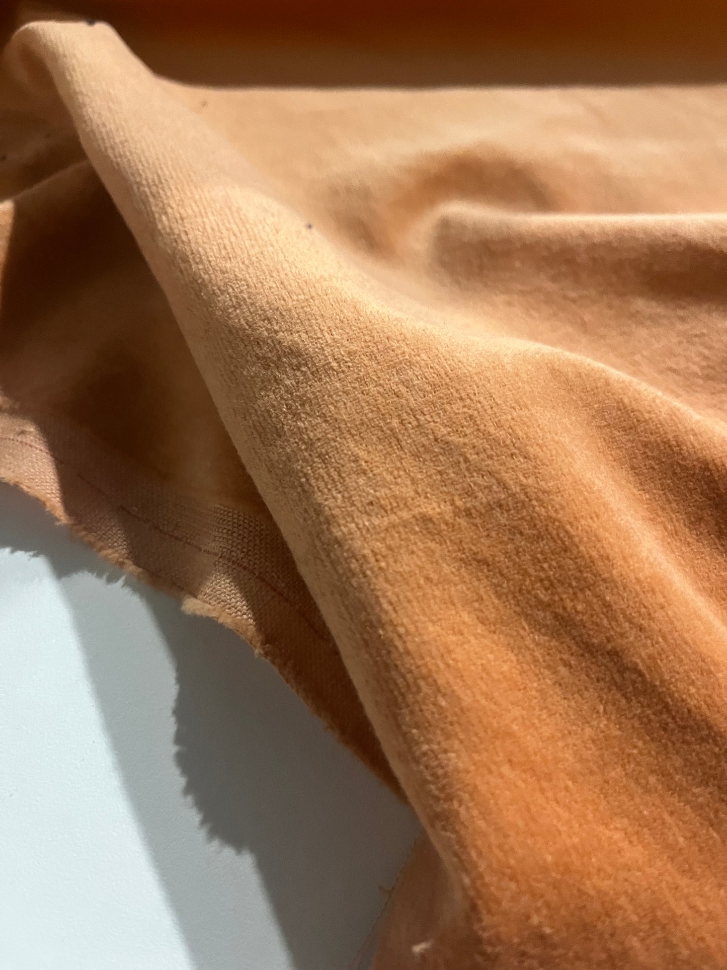 GASPARD 018 cotton velvet babycord salmon