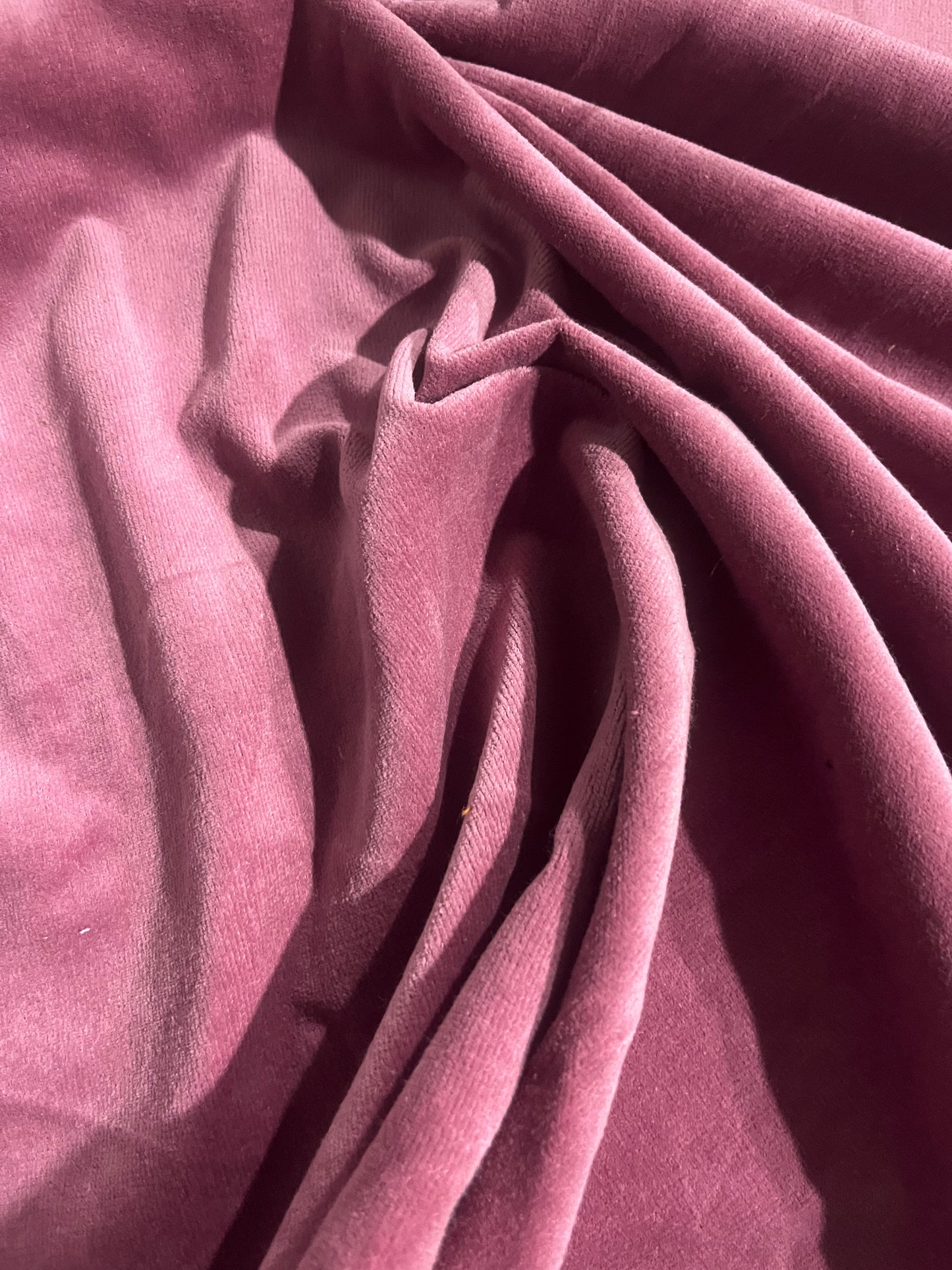 GASPARD 019 cotton velvet babycord old pink