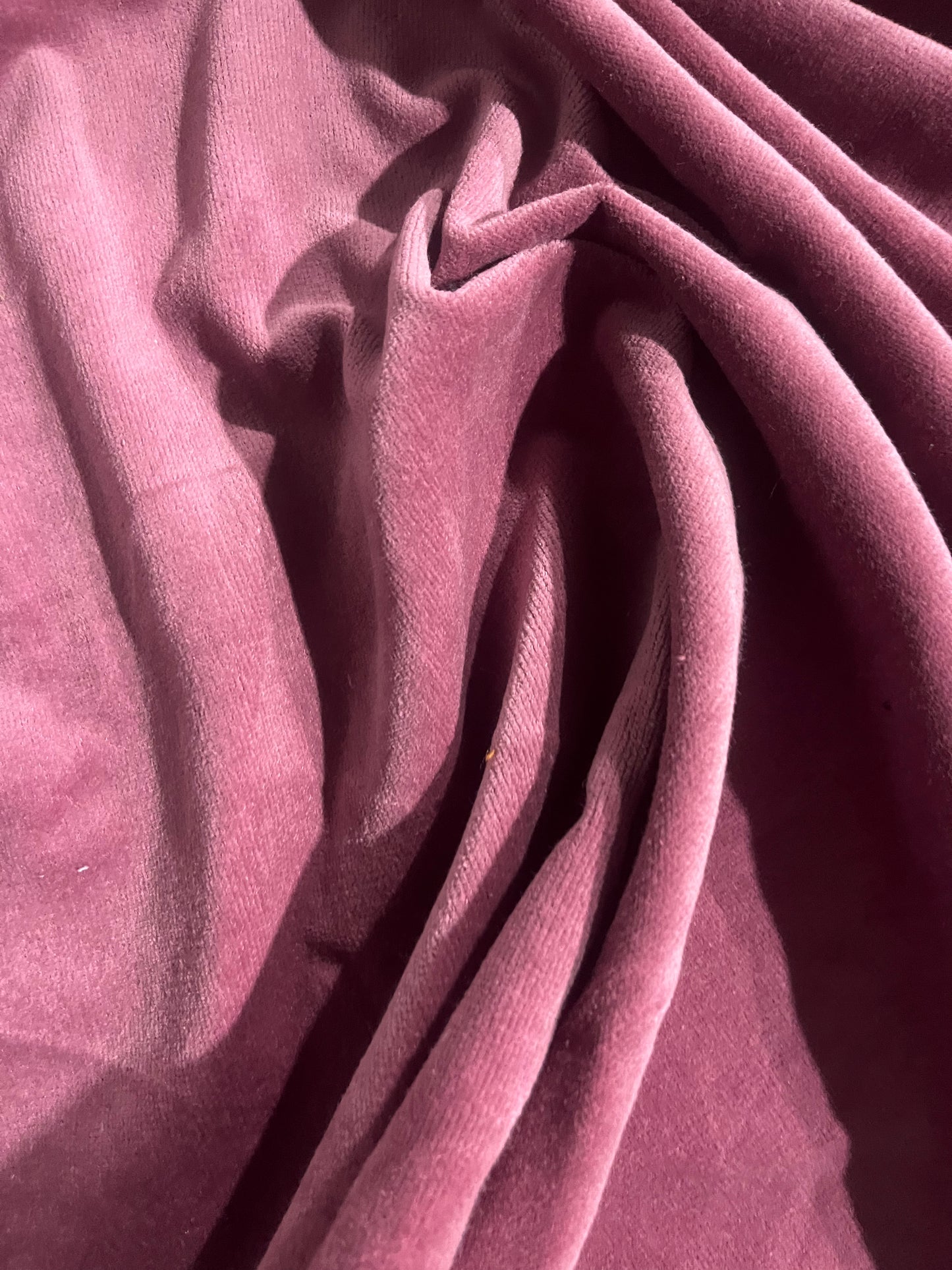 GASPARD 019 cotton velvet babycord old pink