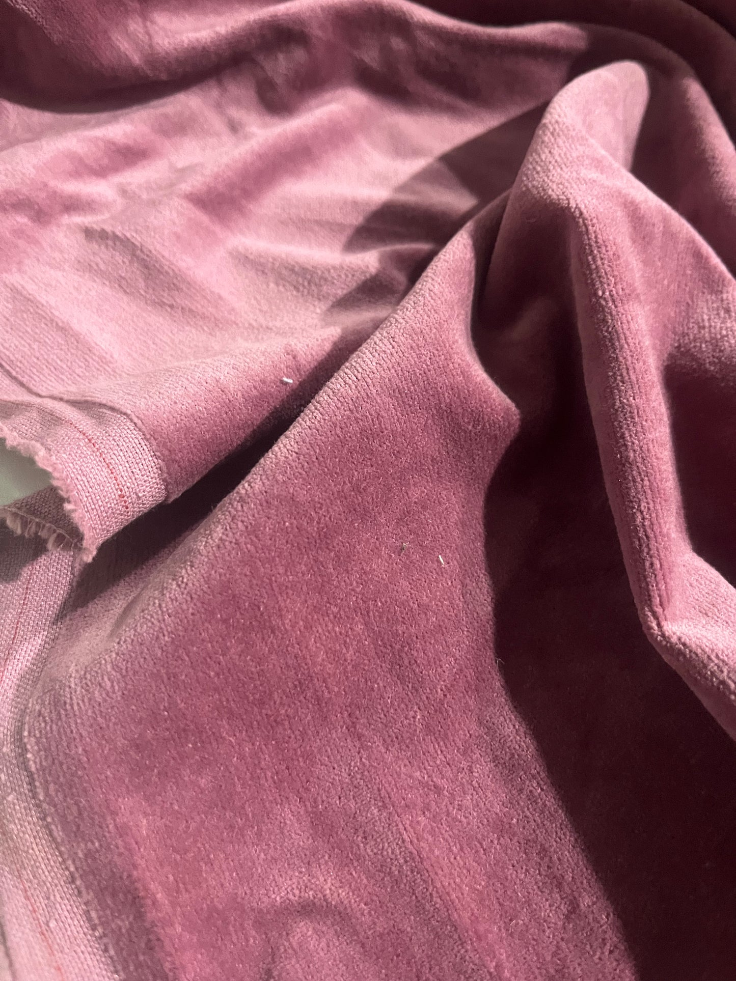 GASPARD 019 cotton velvet babycord old pink