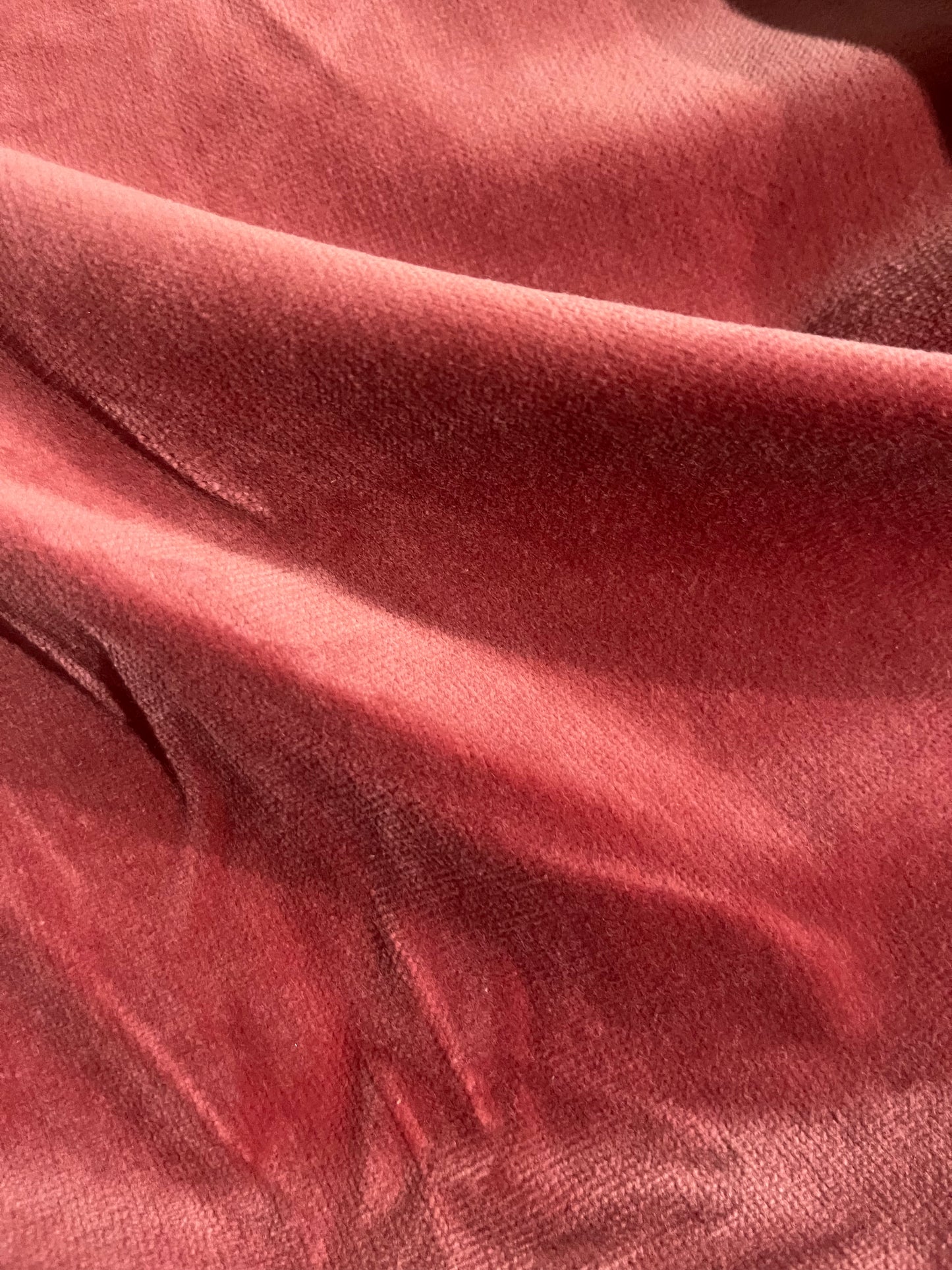 GASPARD 021 cotton velvet soft coral