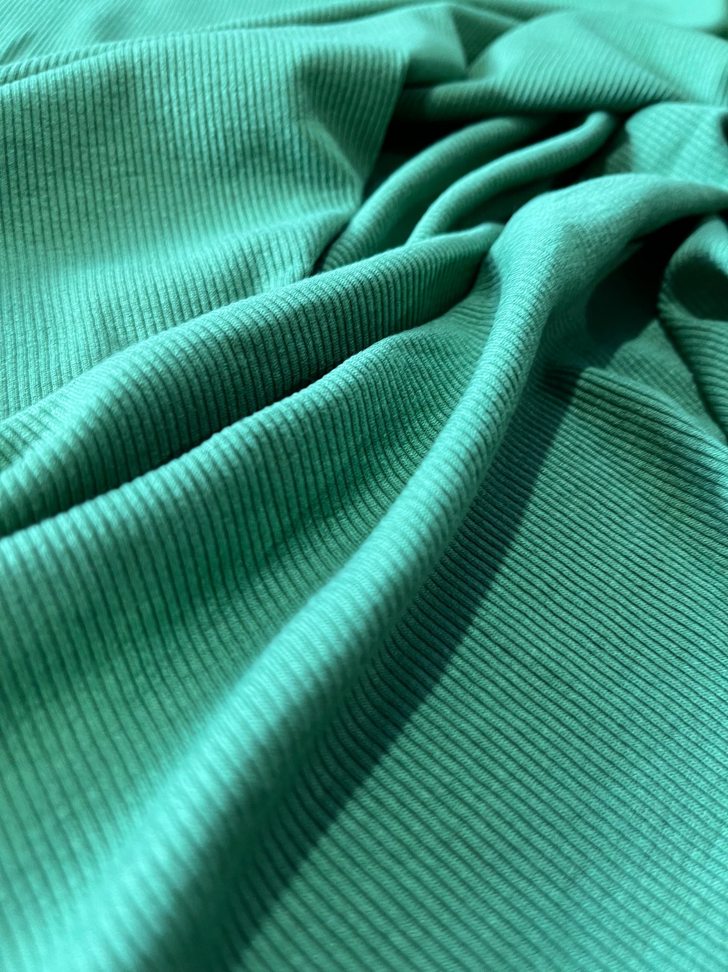 F02 P003 rib viscose light green