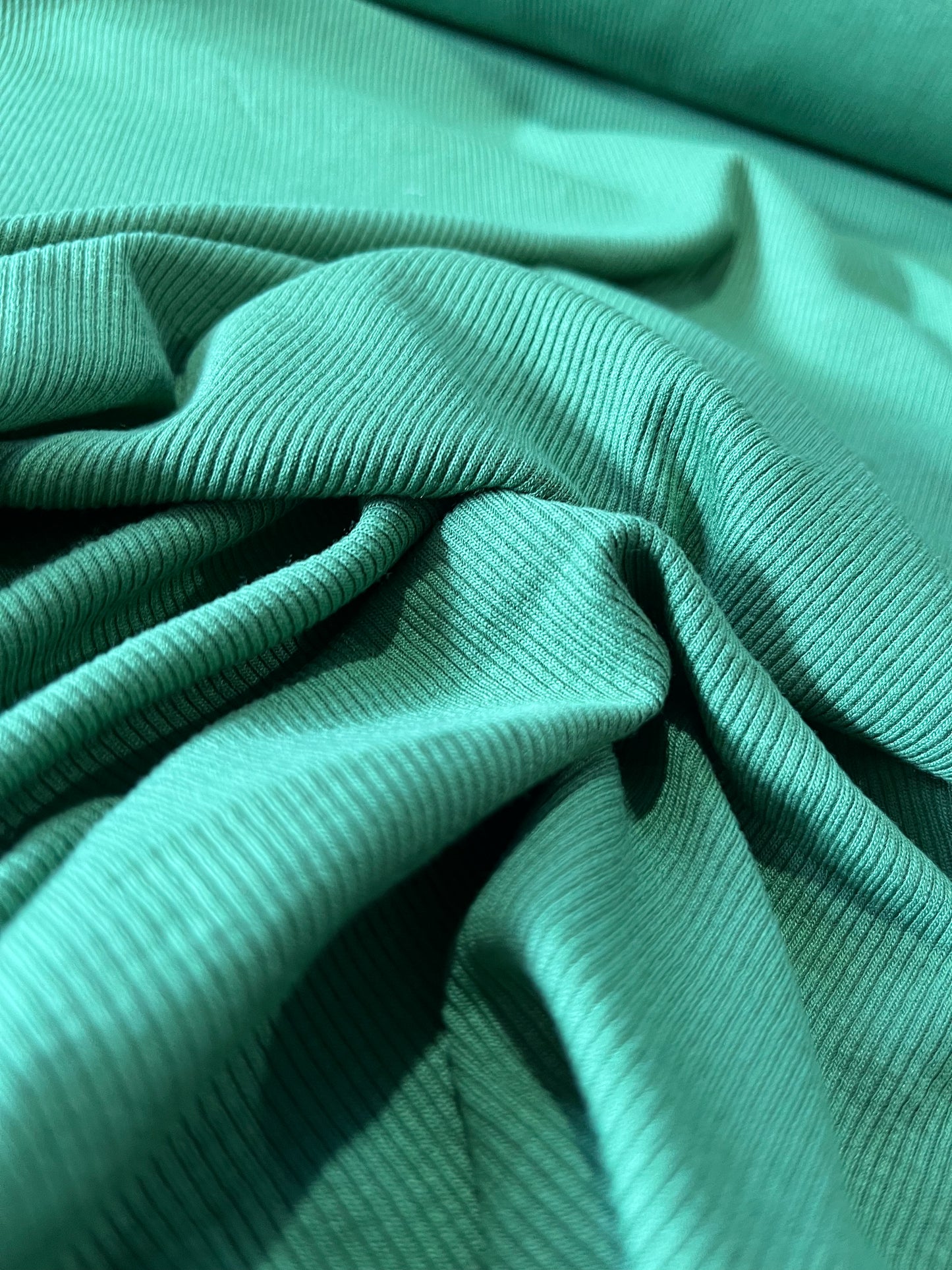 F02 P003 rib viscose light green