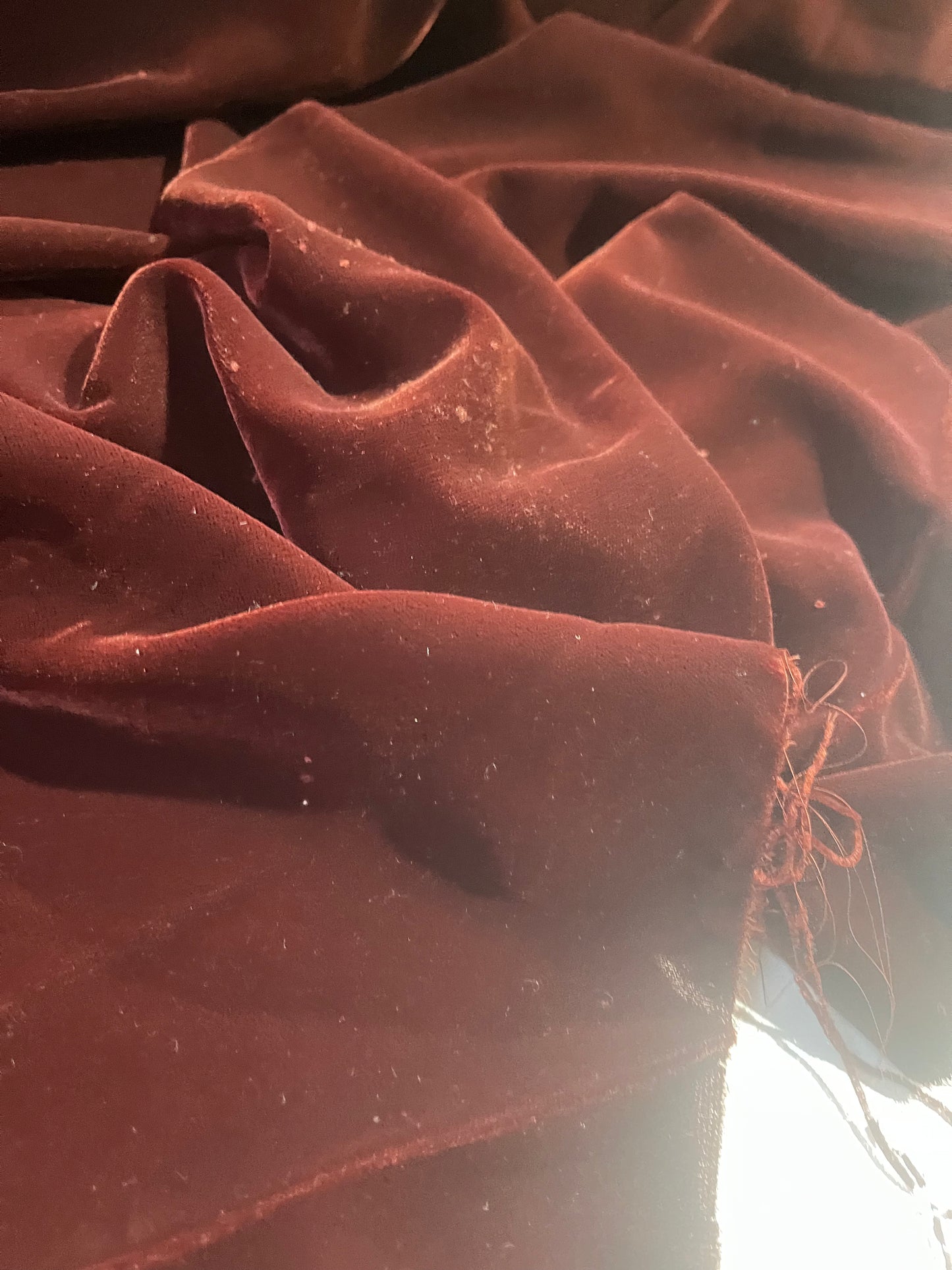 LOTTI 033  micro velvet dark brown