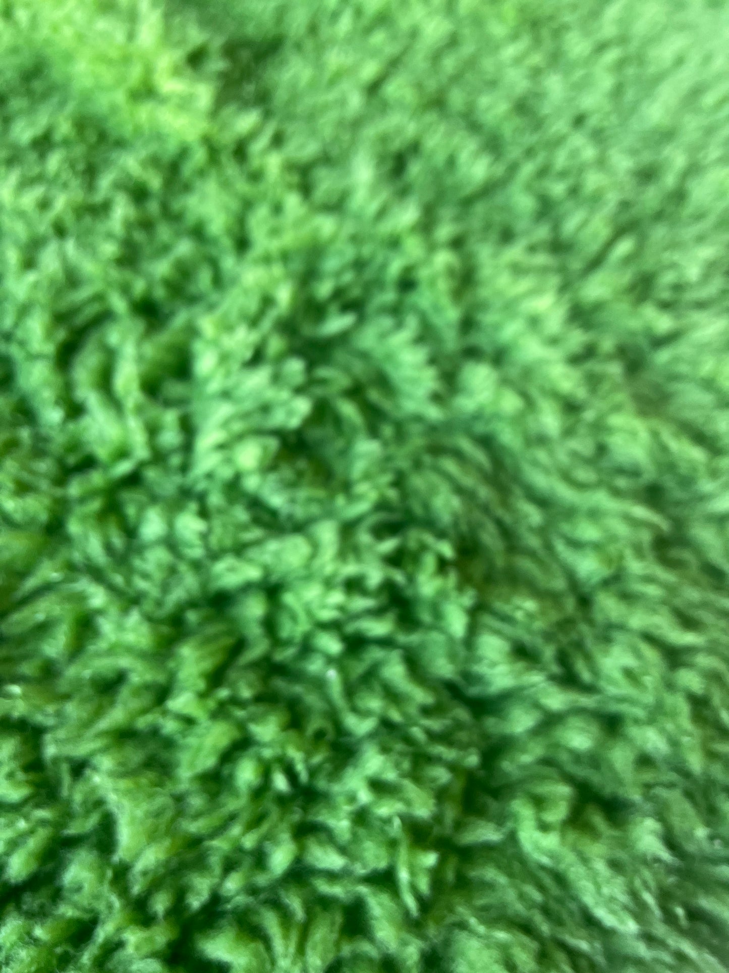 INGA 005 ecopeliche apple green