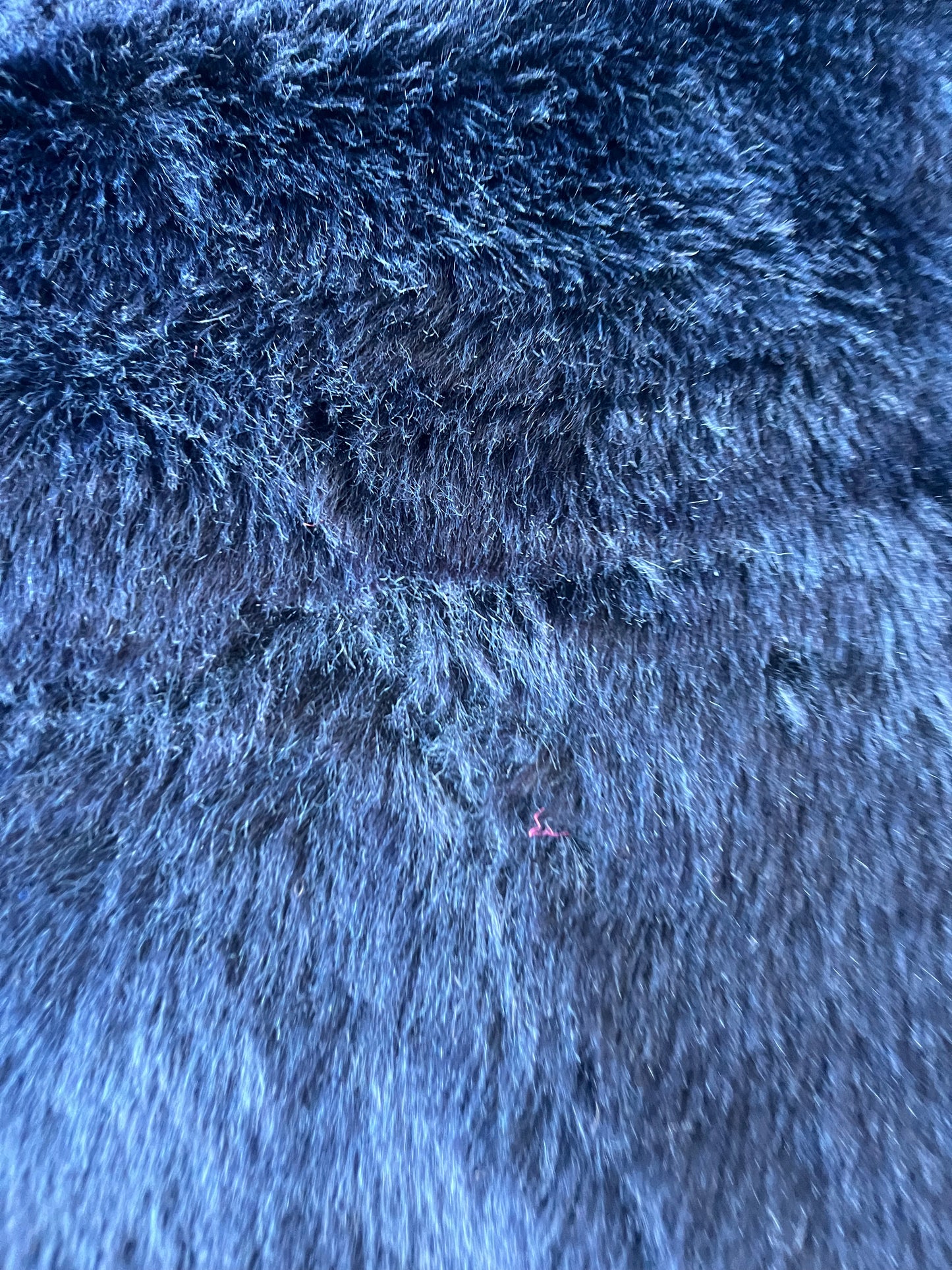 INGA 008 ecopeliche navy