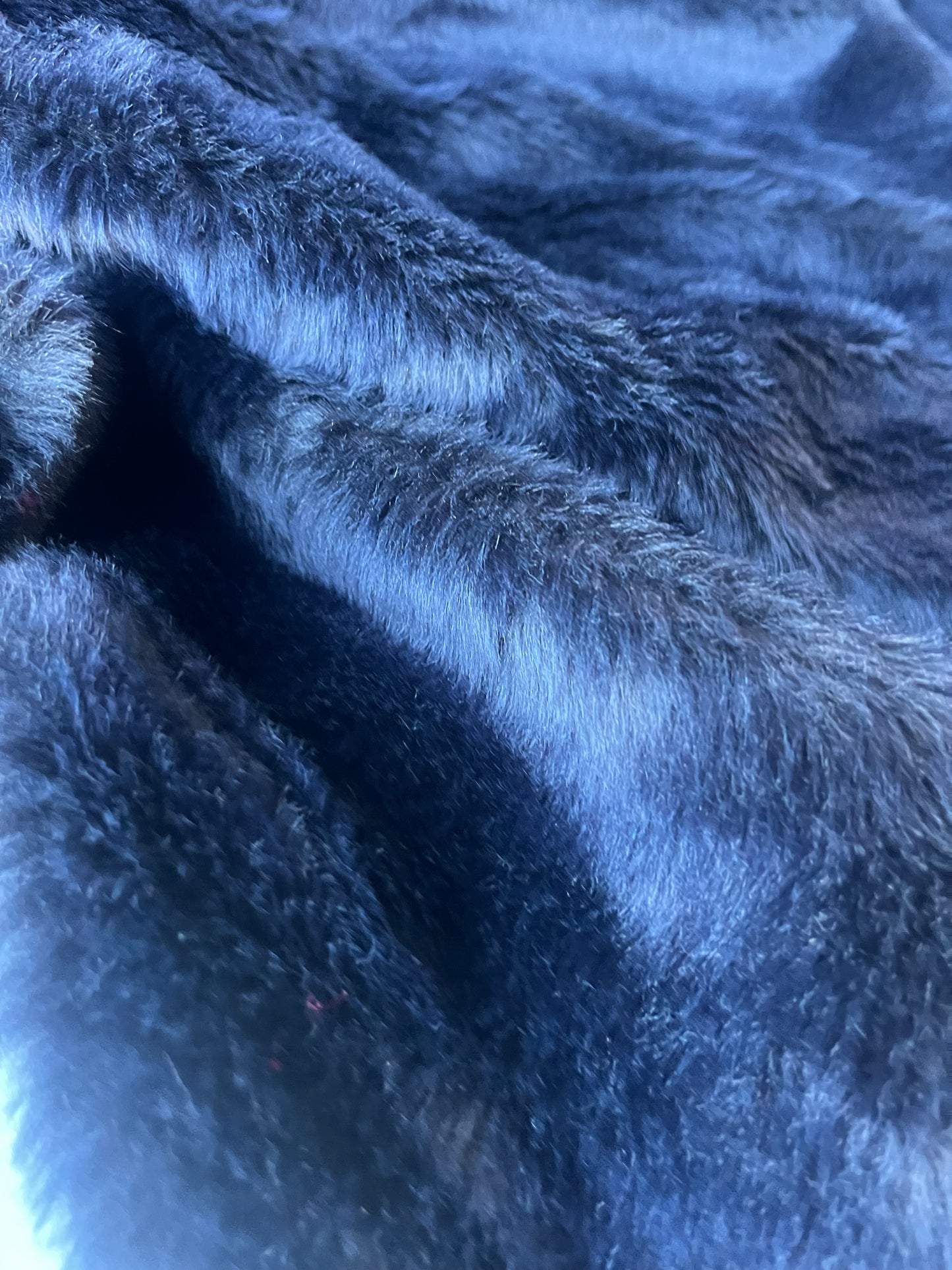 INGA 008 ecopeliche navy