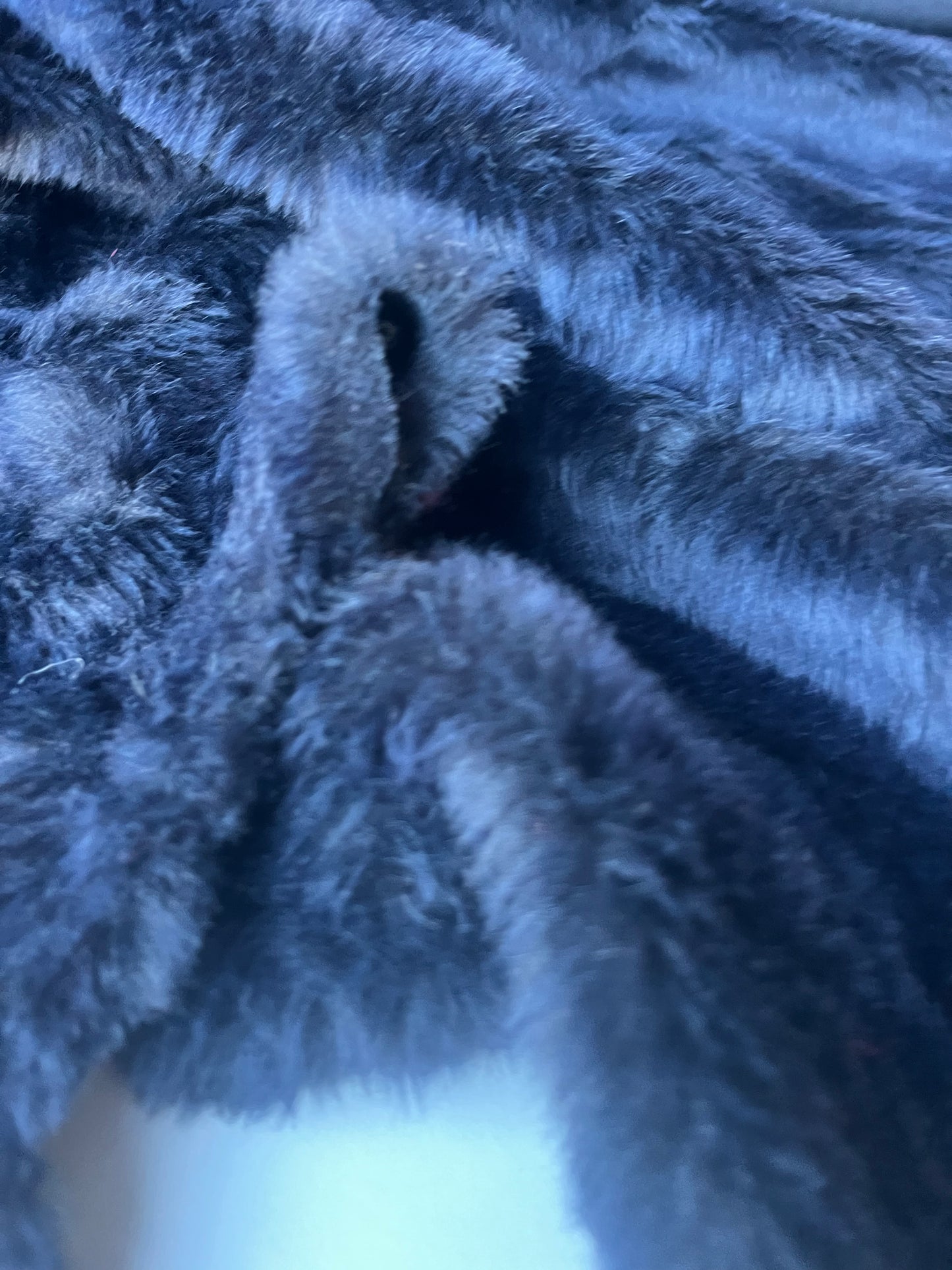 INGA 008 ecopeliche navy