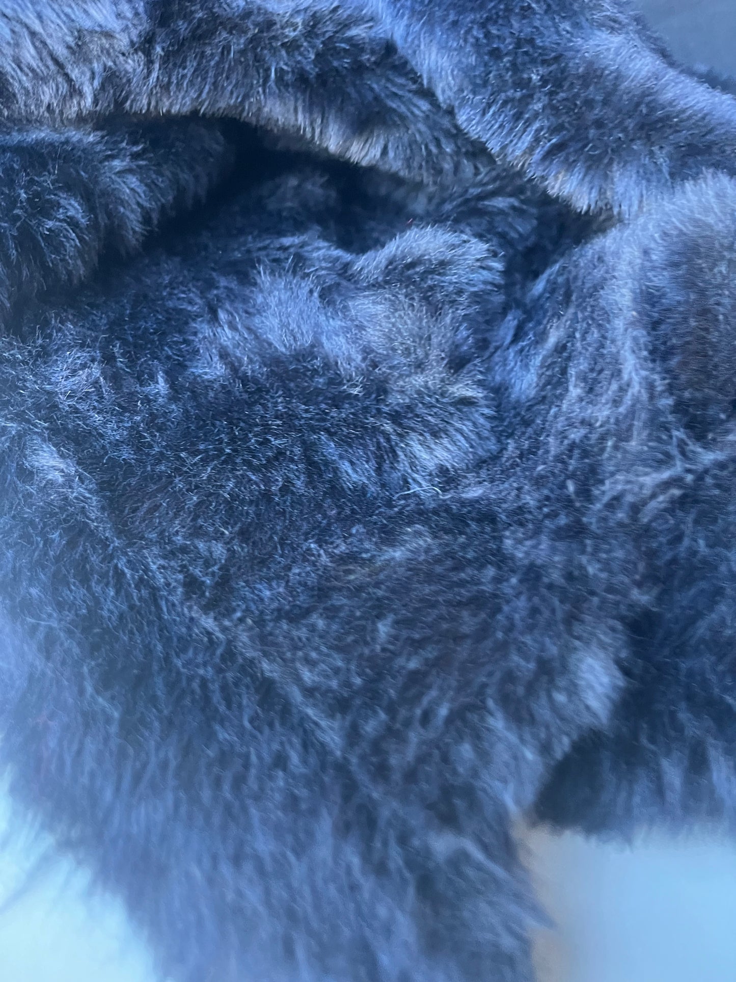 INGA 008 ecopeliche navy