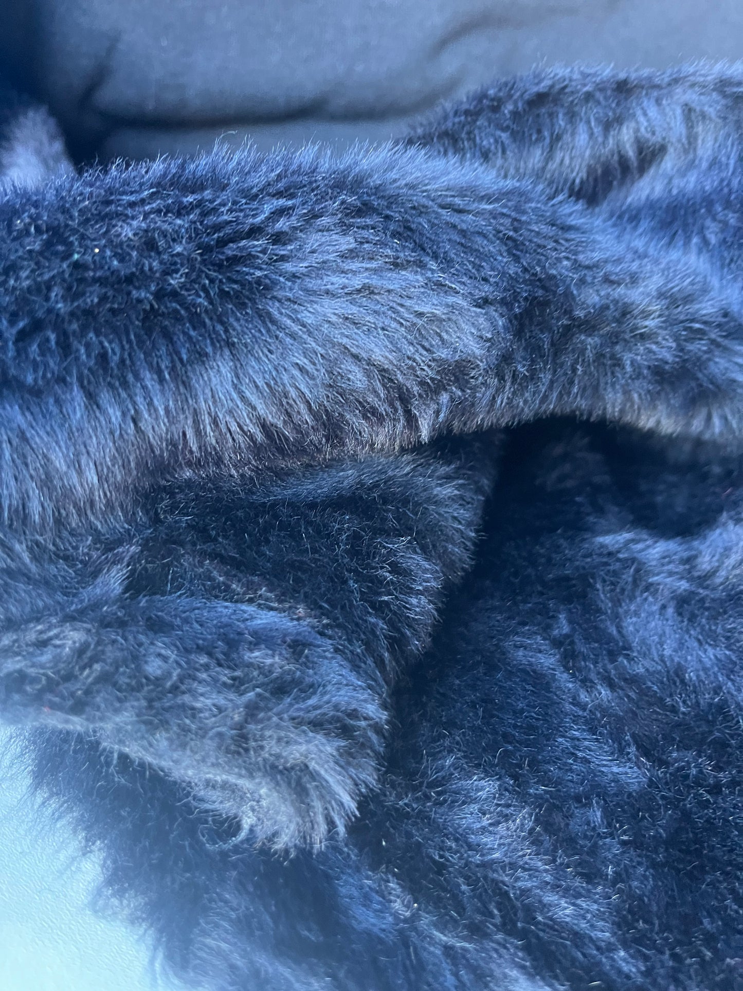 INGA 008 ecopeliche navy