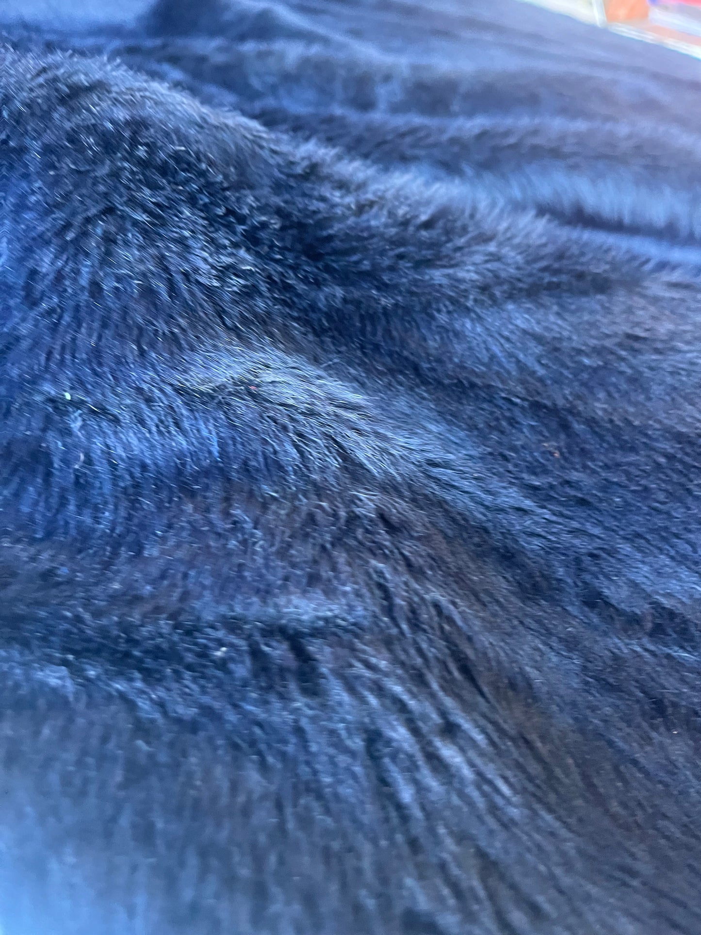 INGA 008 ecopeliche navy