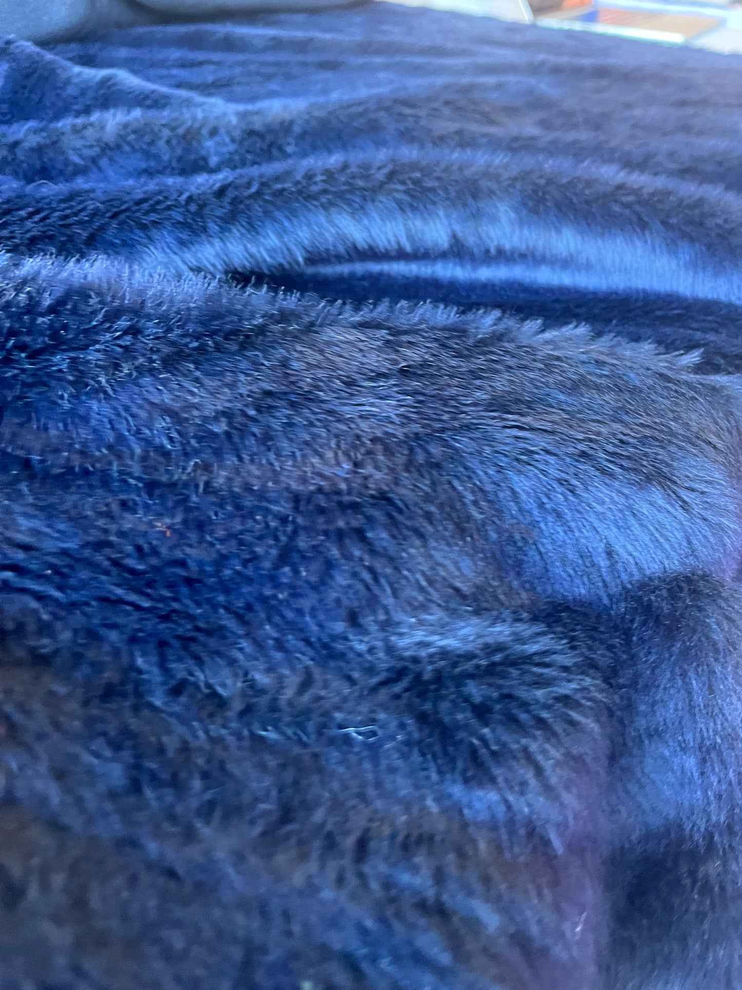 INGA 008 ecopeliche navy