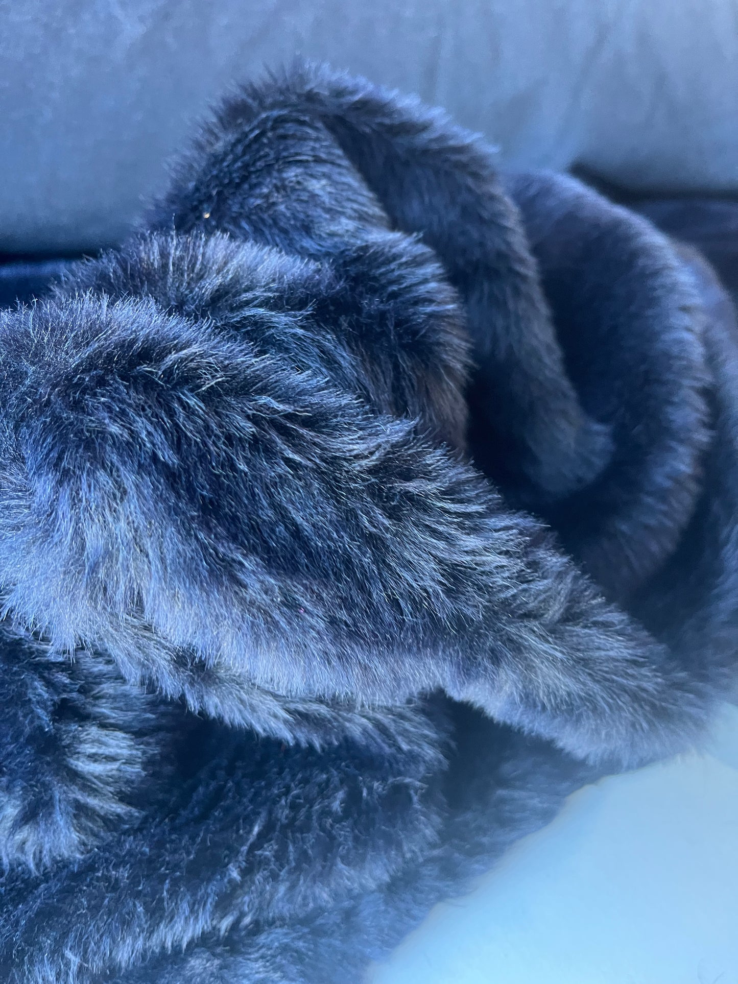 INGA 008 ecopeliche navy