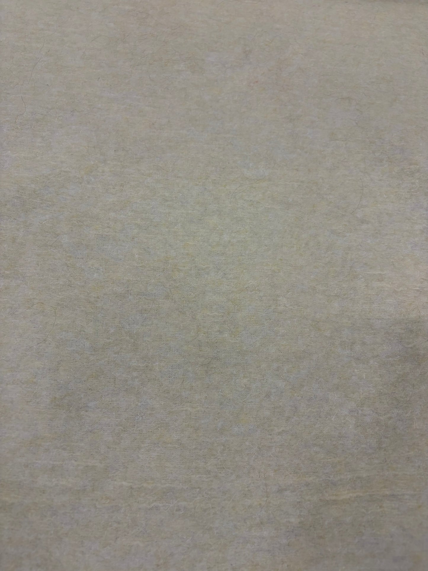 DARIA 025 vanilla  boiled wool