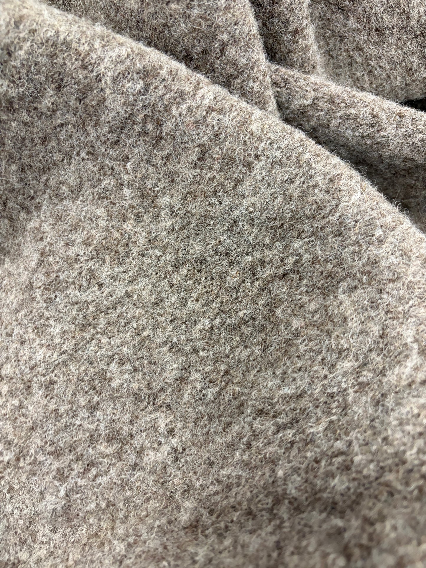 DARIA 027 taupe boiled wool