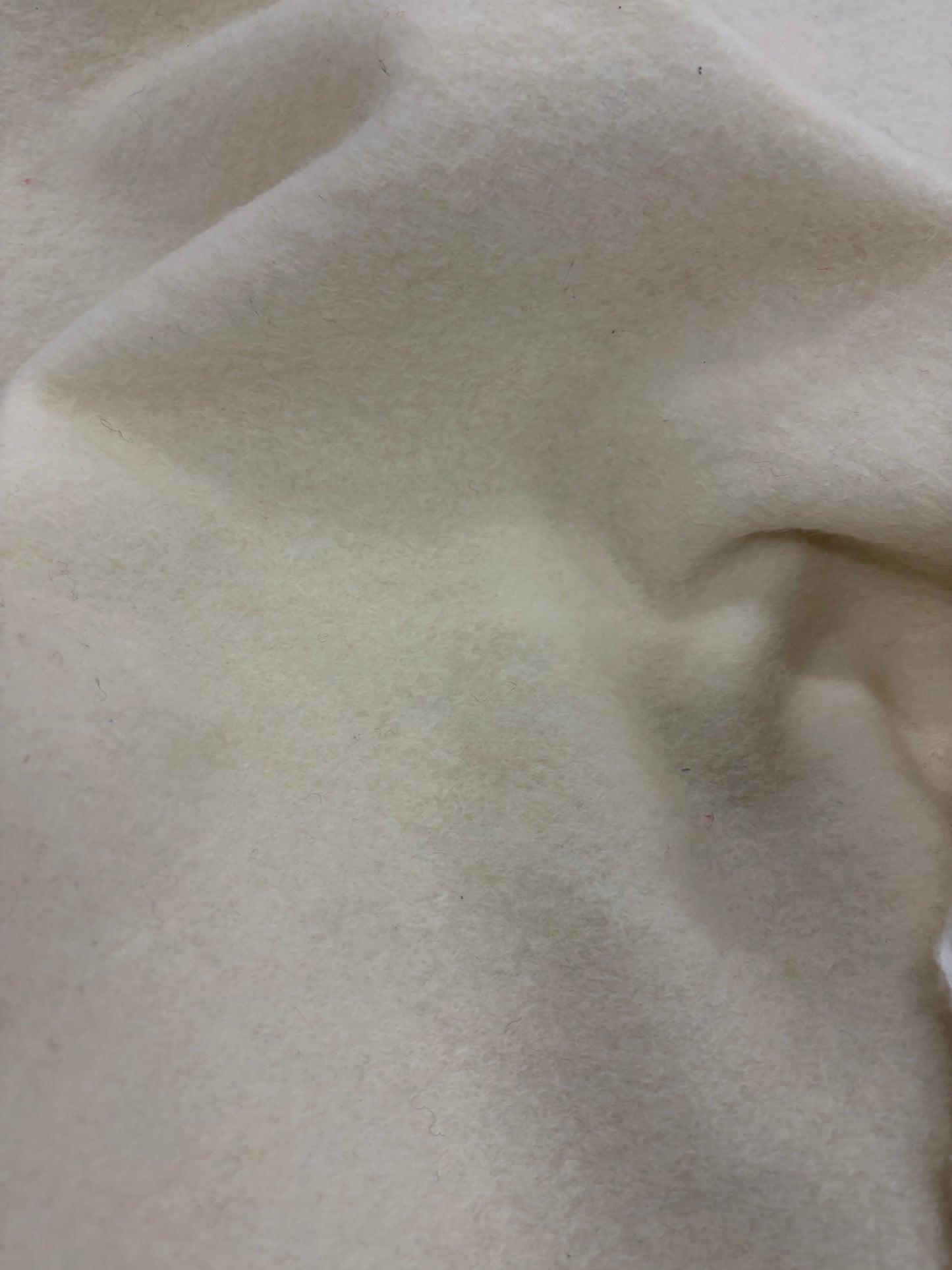 PIPO 023 ecru boiled wool with fused lining