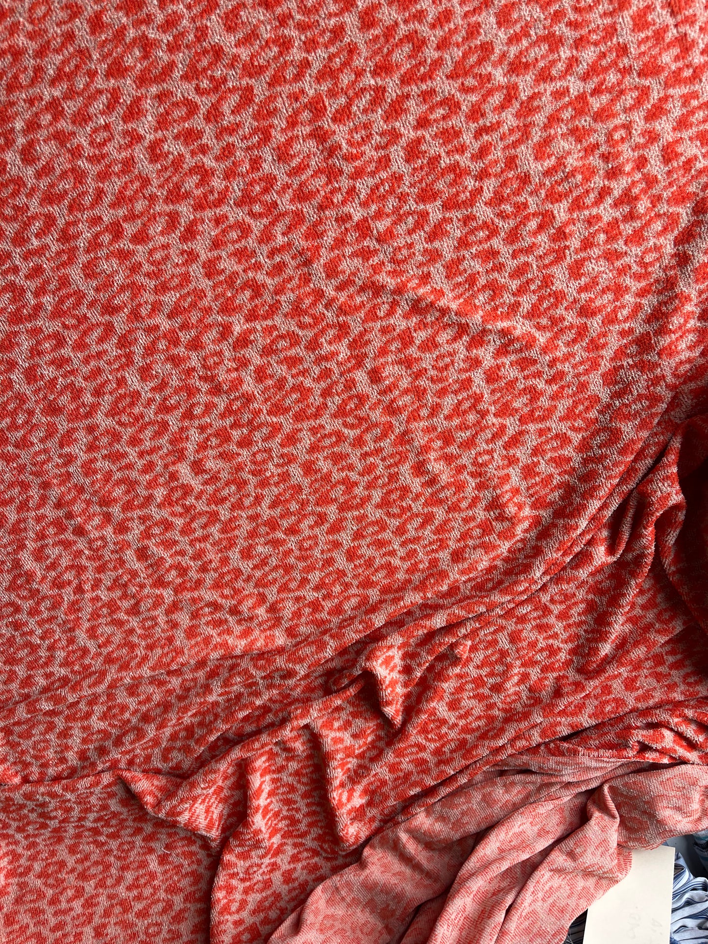 CELIA 008 jersey jacquard leopard orange ecru