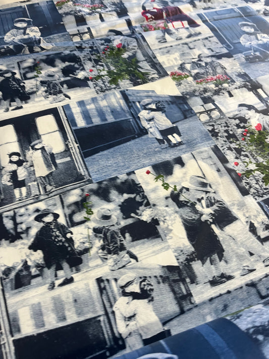 CLAUDY 027 cotton with waterrepellant coating