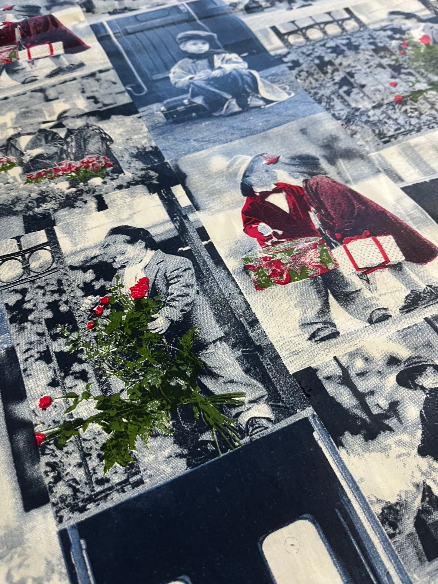 CLAUDY 027 cotton with waterrepellant coating