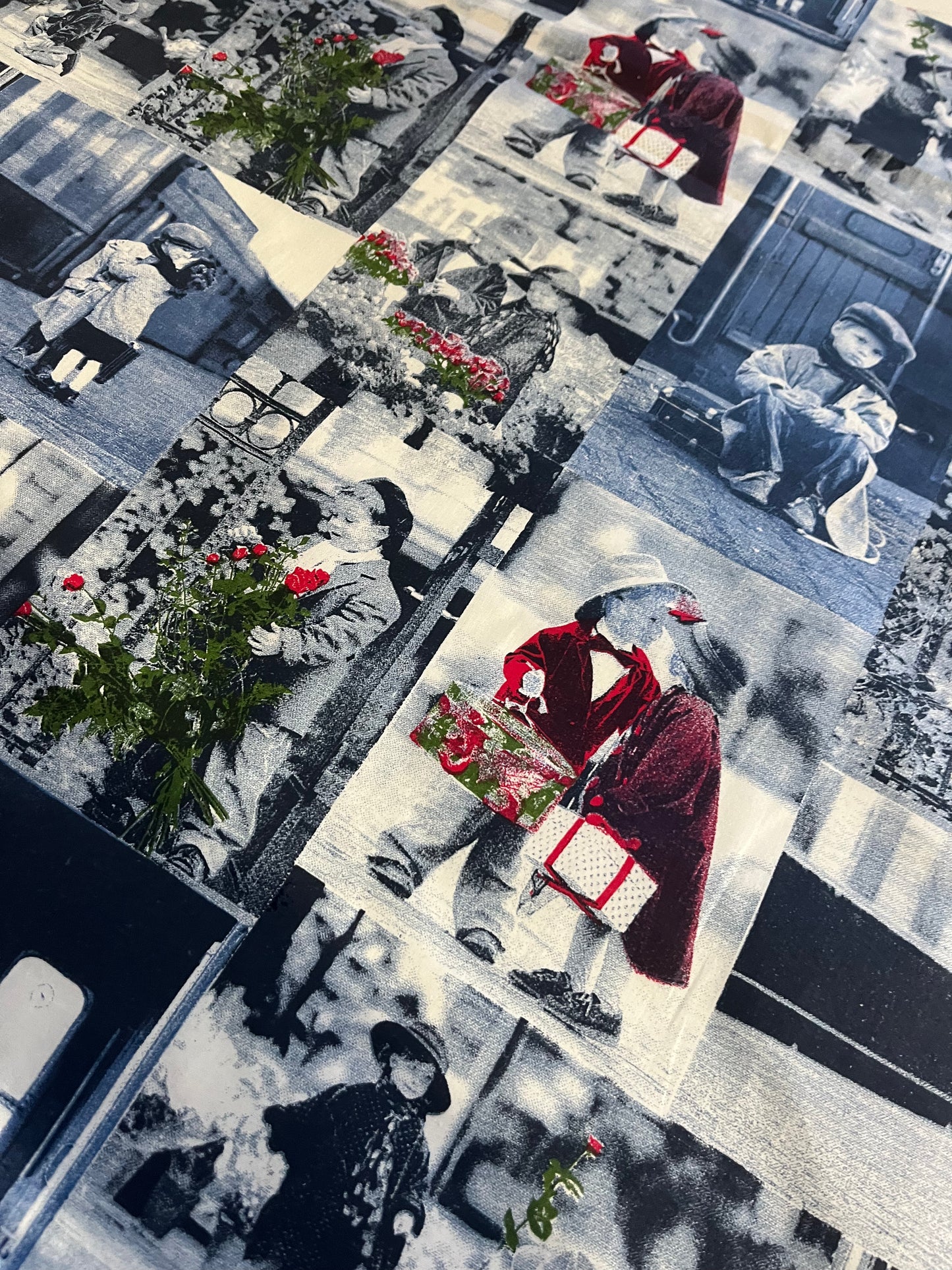 CLAUDY 027 cotton with waterrepellant coating