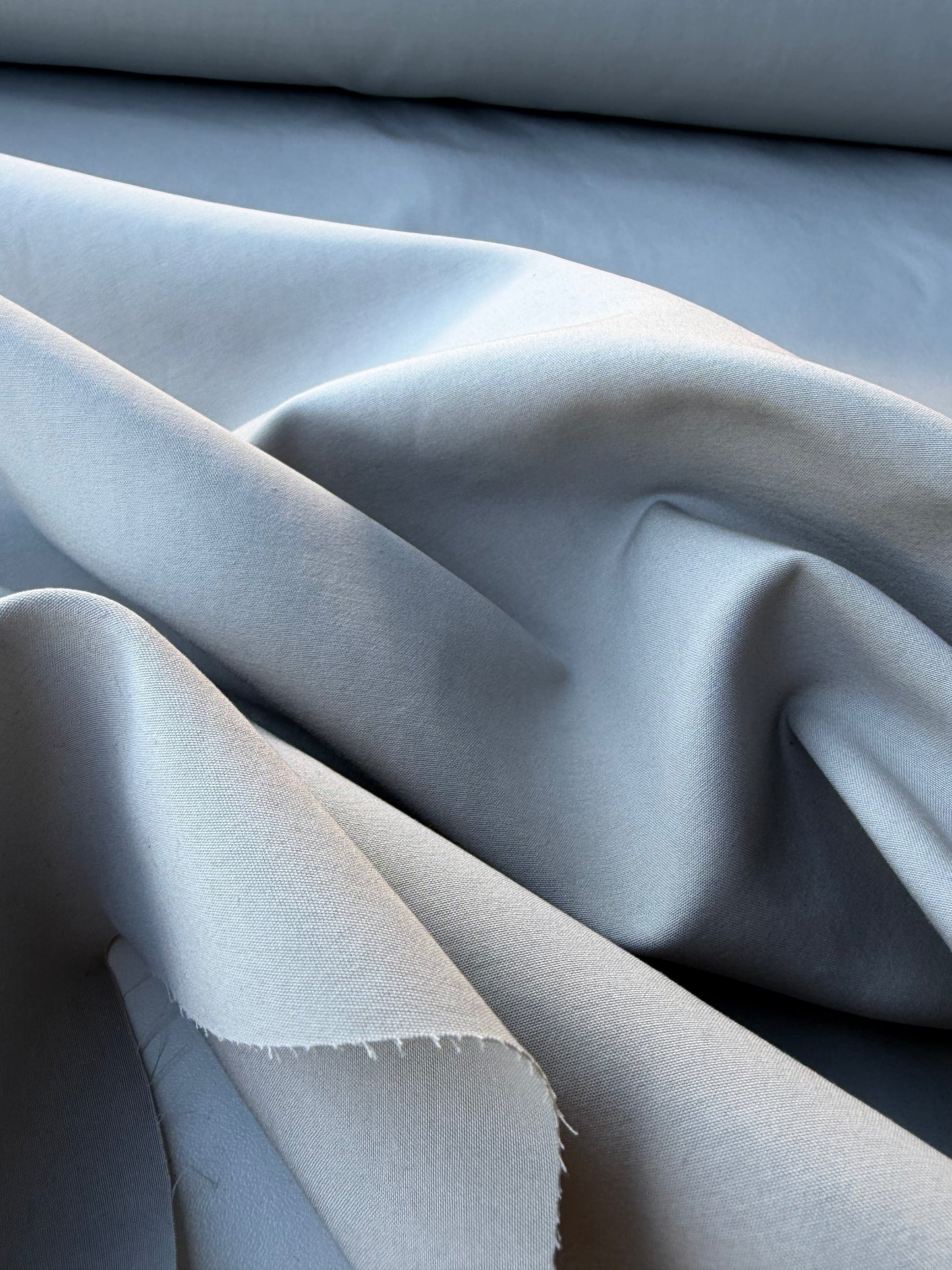 BURNS 005 grey light canvas cotton