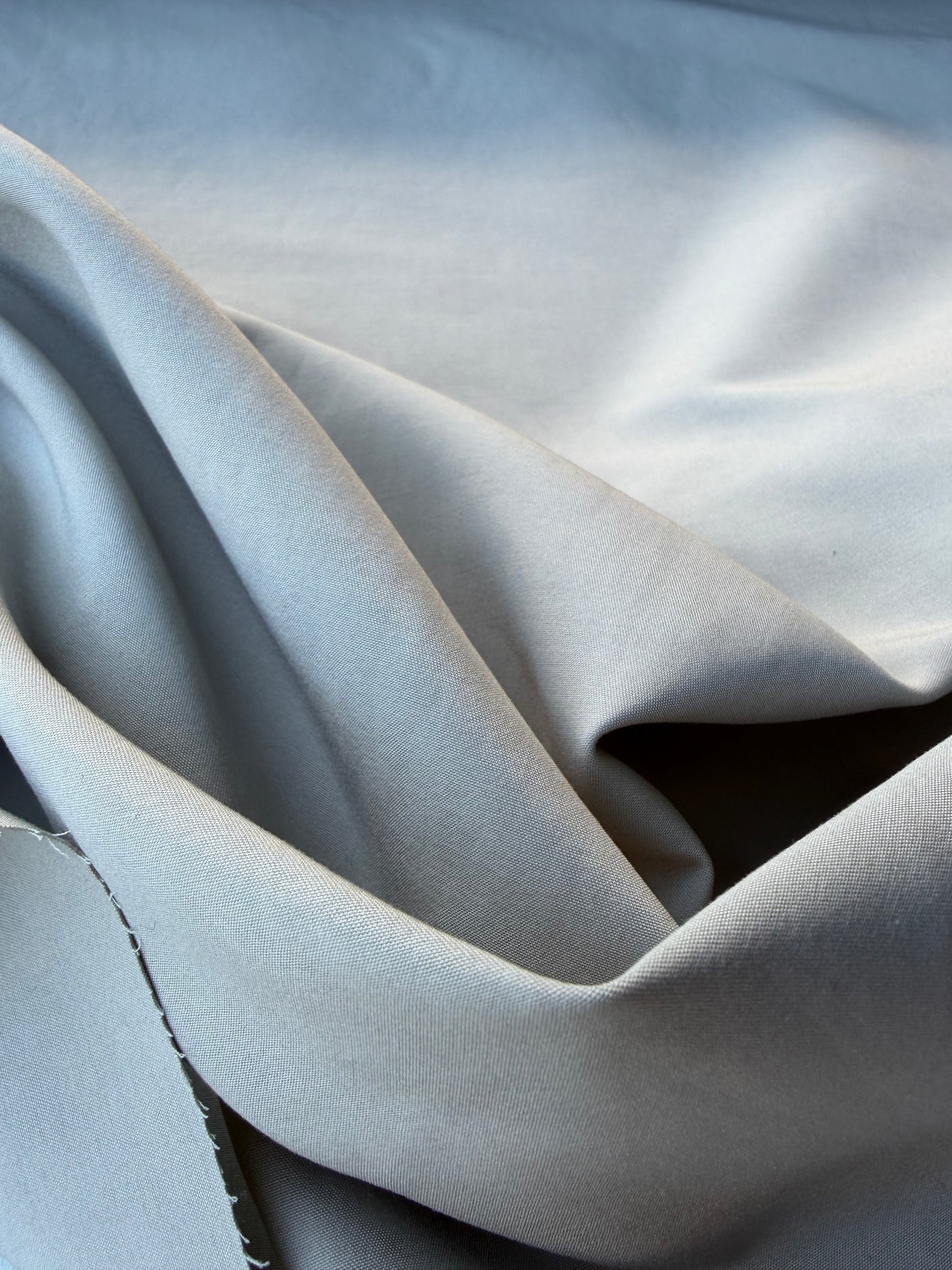 BURNS 005 grey light canvas cotton