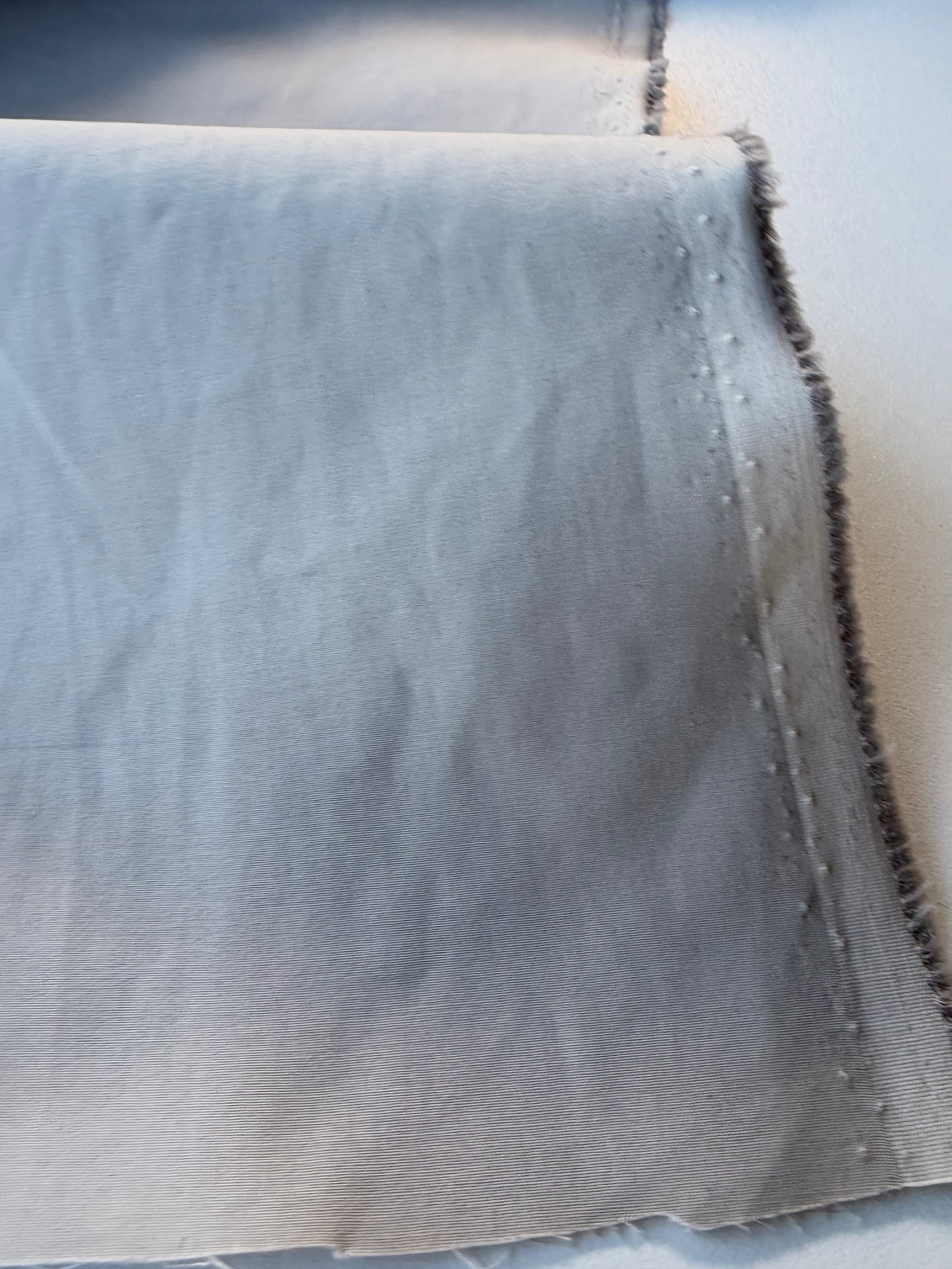 BURNS 005 grey light canvas cotton